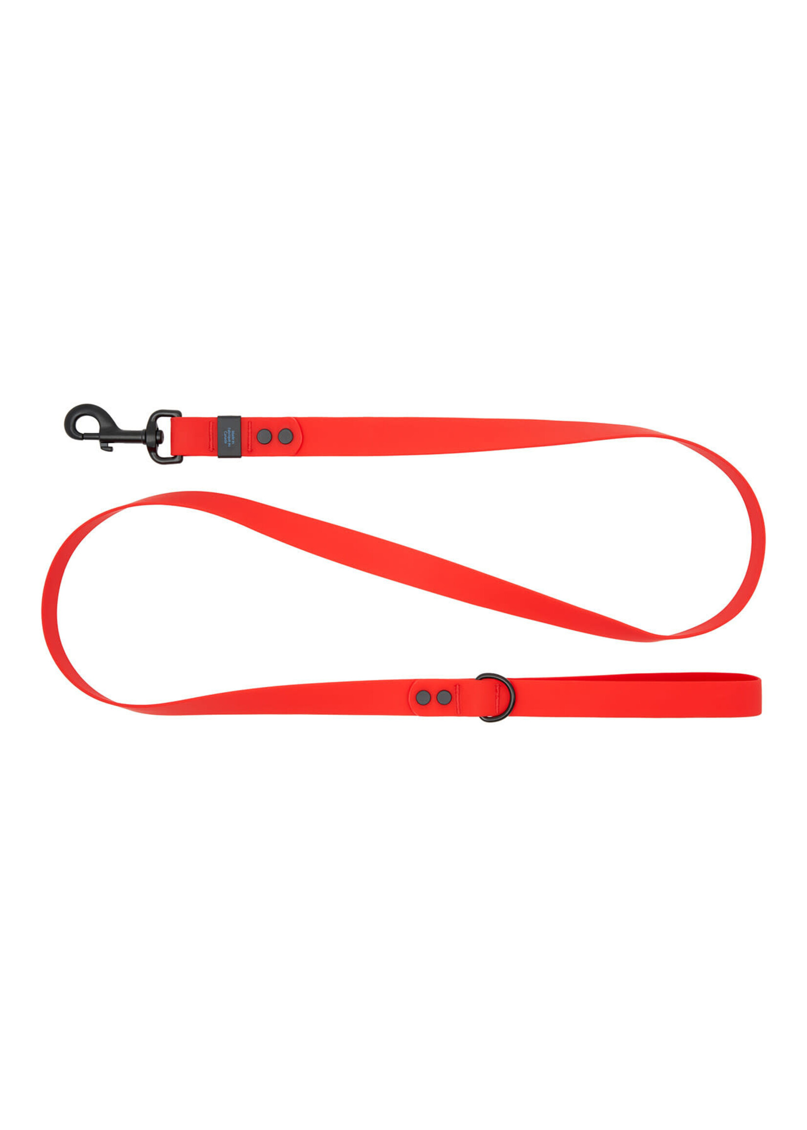 RC PETS RC PETS LAISSE WATERPROOF