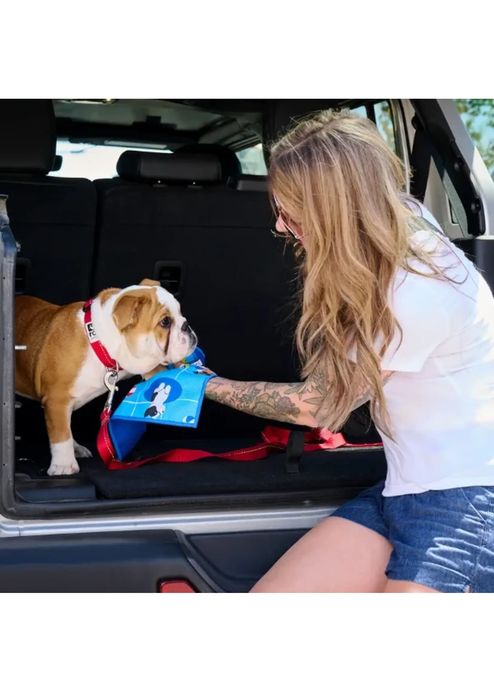 RC PETS RC PETS SERVIETTE ABSORBANTE POUR PATTES