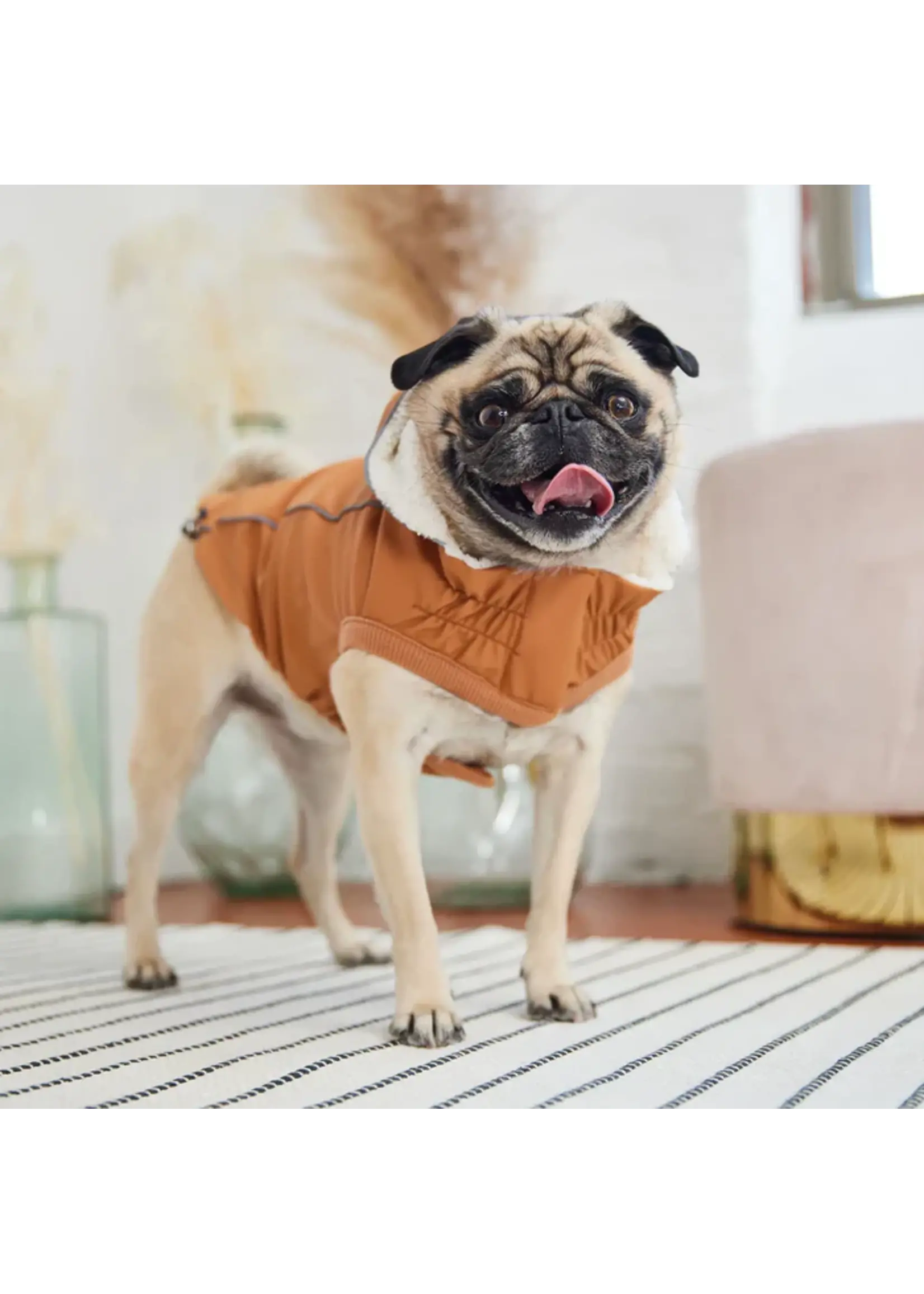 GFPET GFPET IMPERMEABLE ISOLE NOISETTE XL