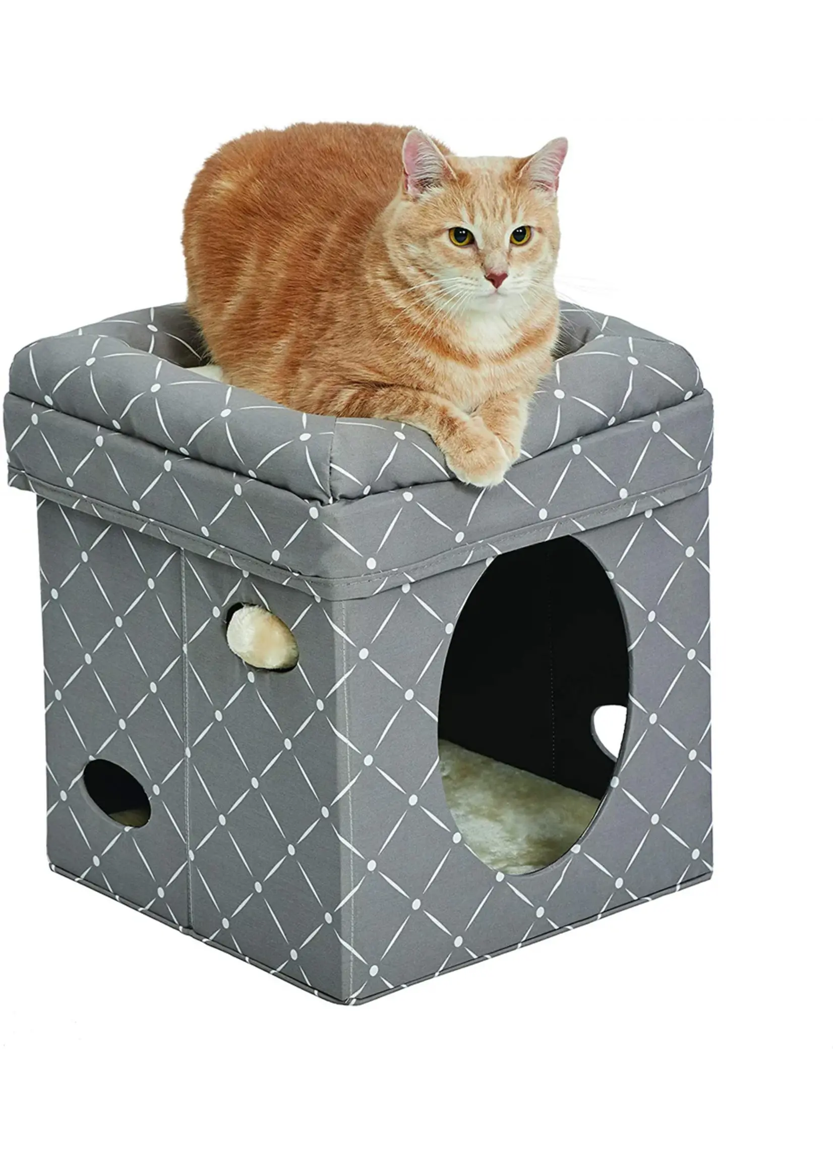 MW CURIOUS CAT CUBE GRIS A MOTIFS