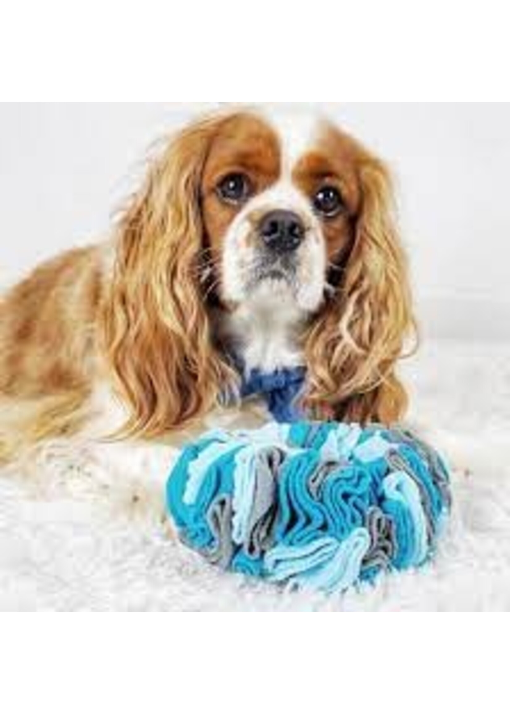 FOUFOUBRANDS FOUFIT ANNEAU A RENIFLER INTERACTIF