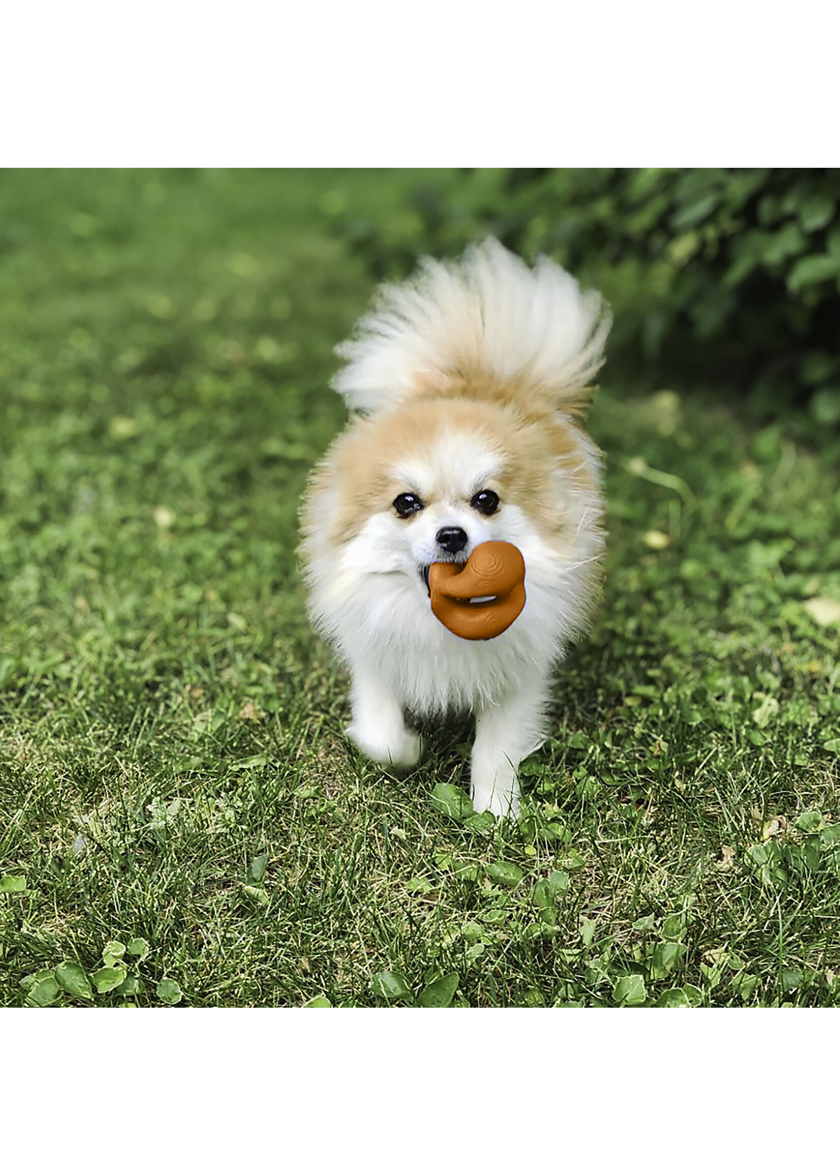 KONG KONG BALLE OGEE ORBE