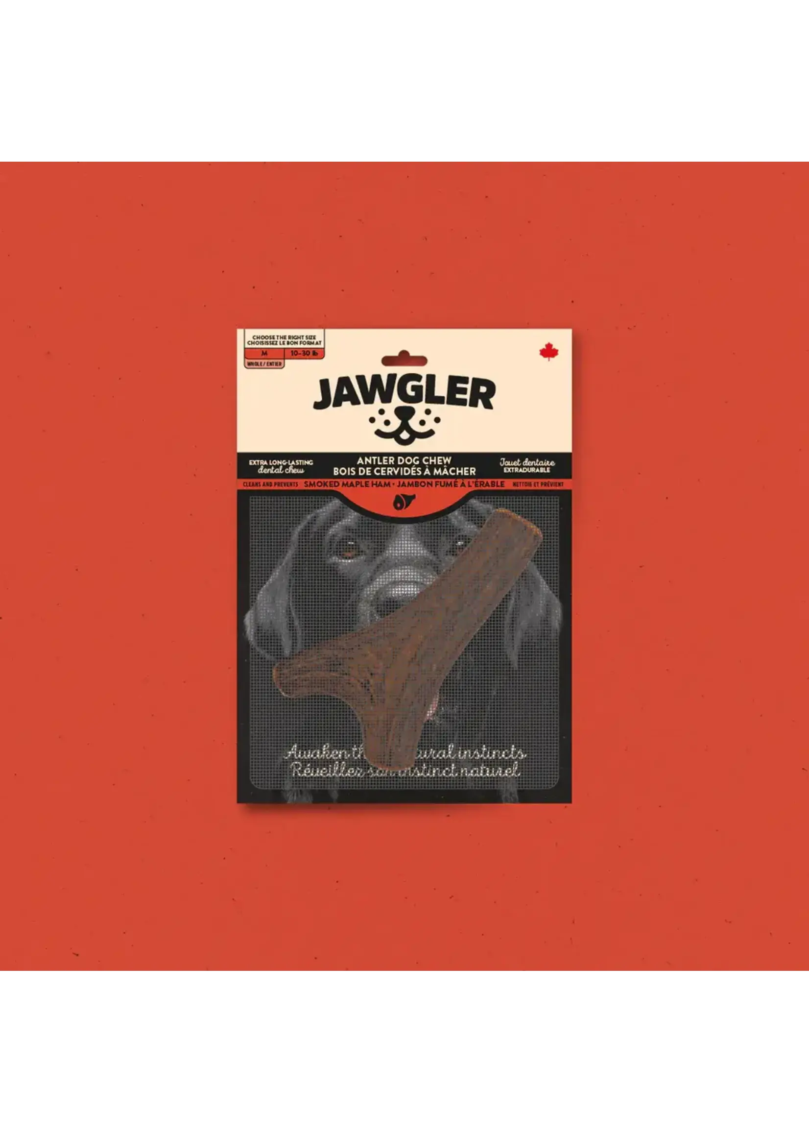 JAWGLER JAWGLER BOIS DE CERVIDÉS ENTIER