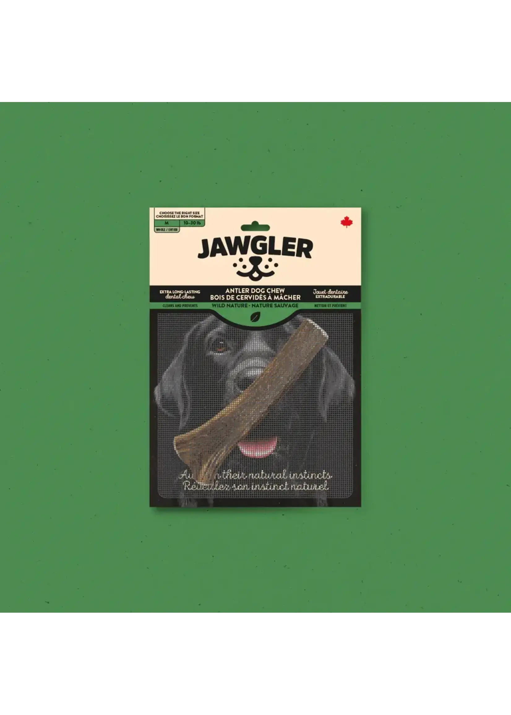 JAWGLER JAWGLER BOIS DE CERVIDÉS ENTIER