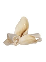 REDBARN REDBARN OREILLES DE VACHE REDBARN REDBARN OREILLES DE VACHE