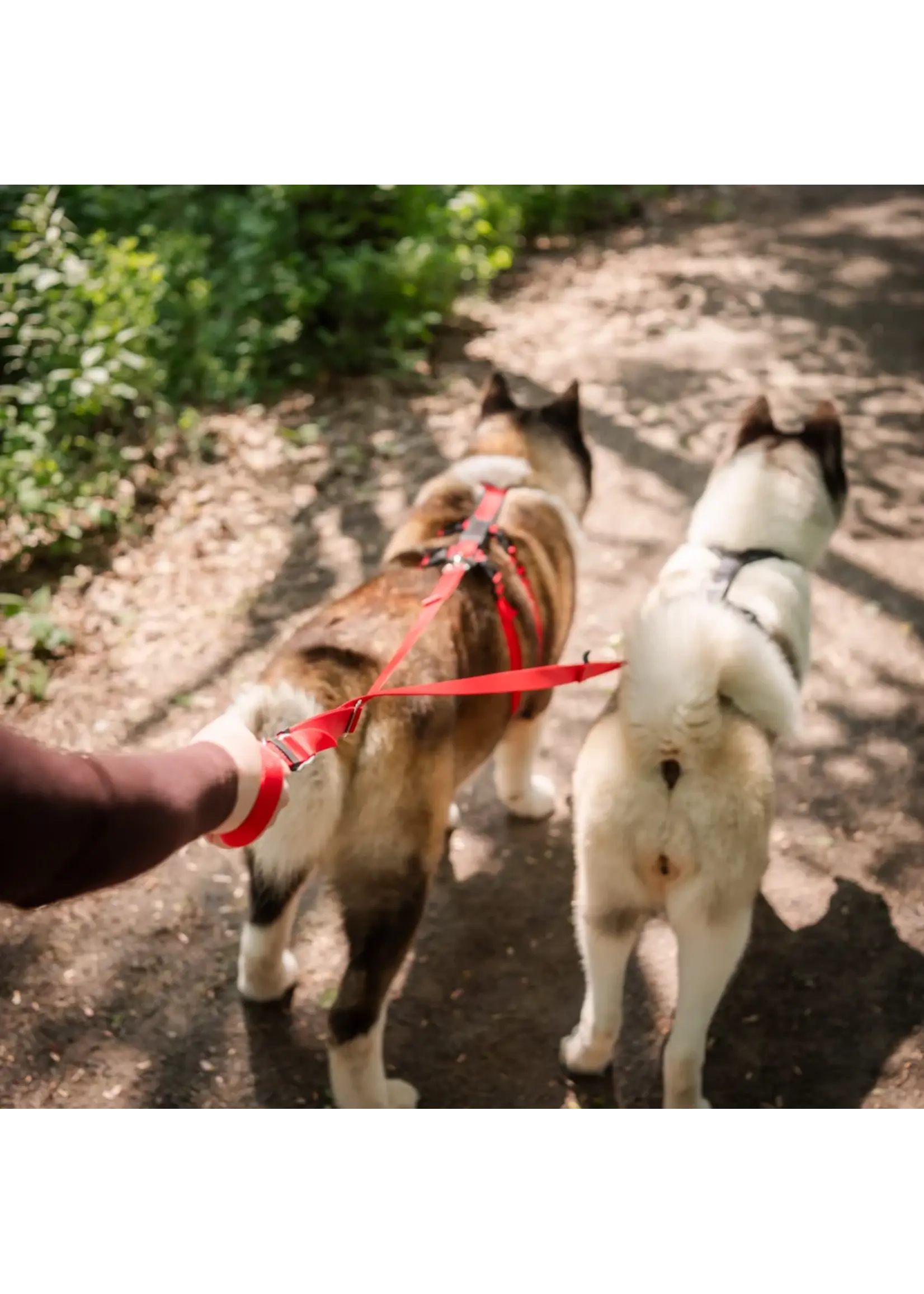 NAHAK SPORTS NAHAK HARNAIS HYBRIDE