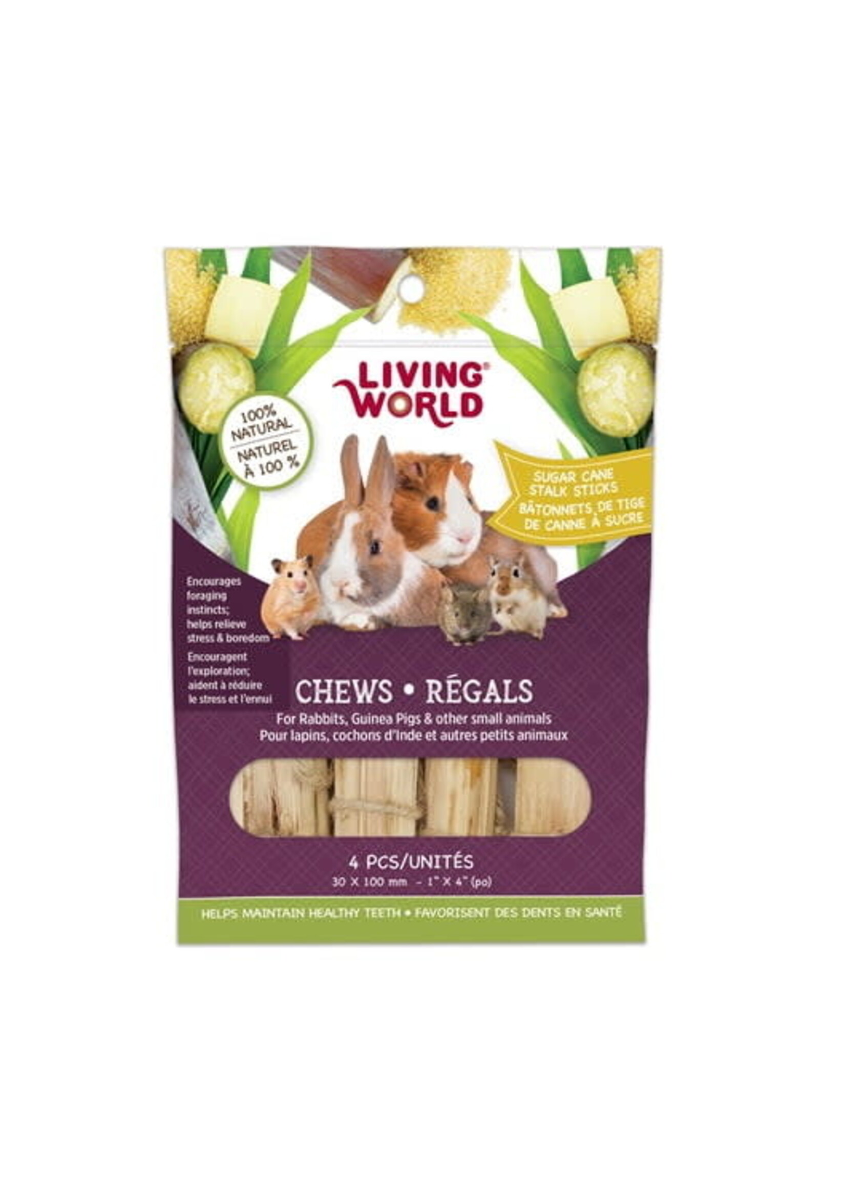 LIVING WORLD LIVING WORLD BRANCHES DE CANNE A SUCRE PQT 4