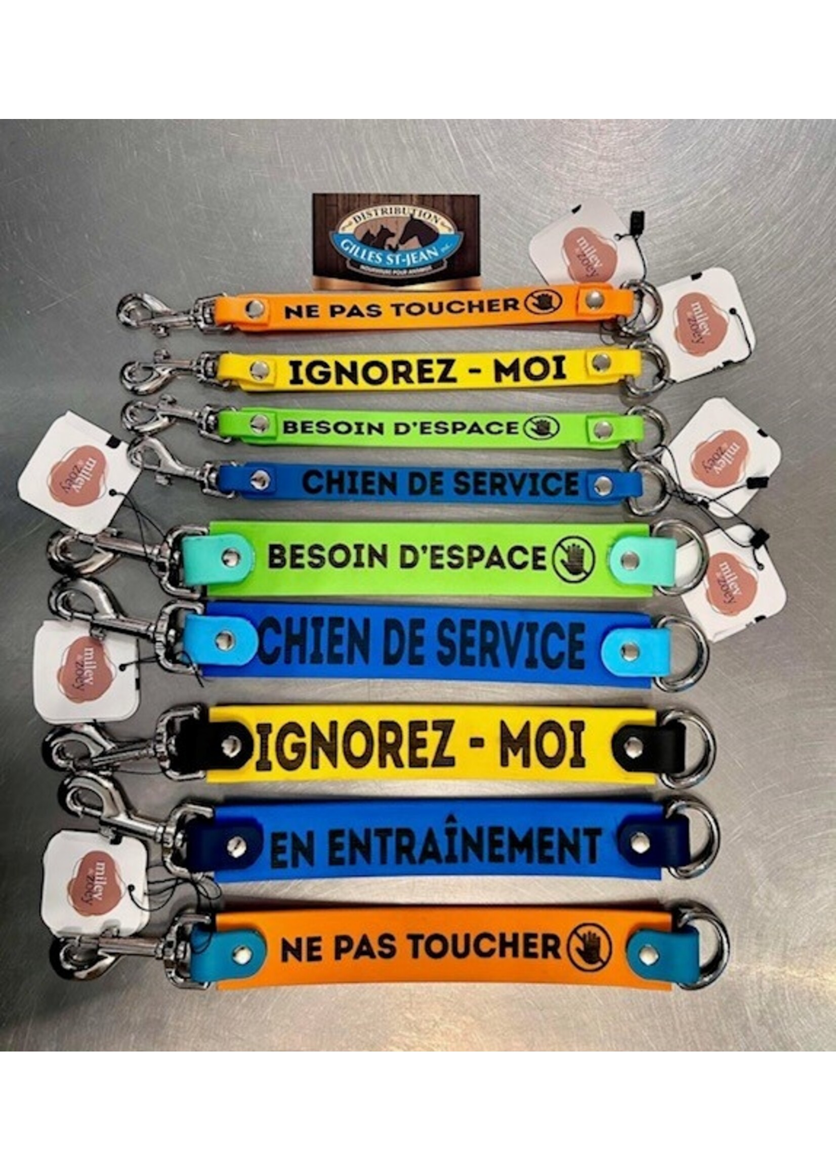 MILEY & ZOEY MILEY & ZOEY LAISSE A MESSAGE 1 1/2''