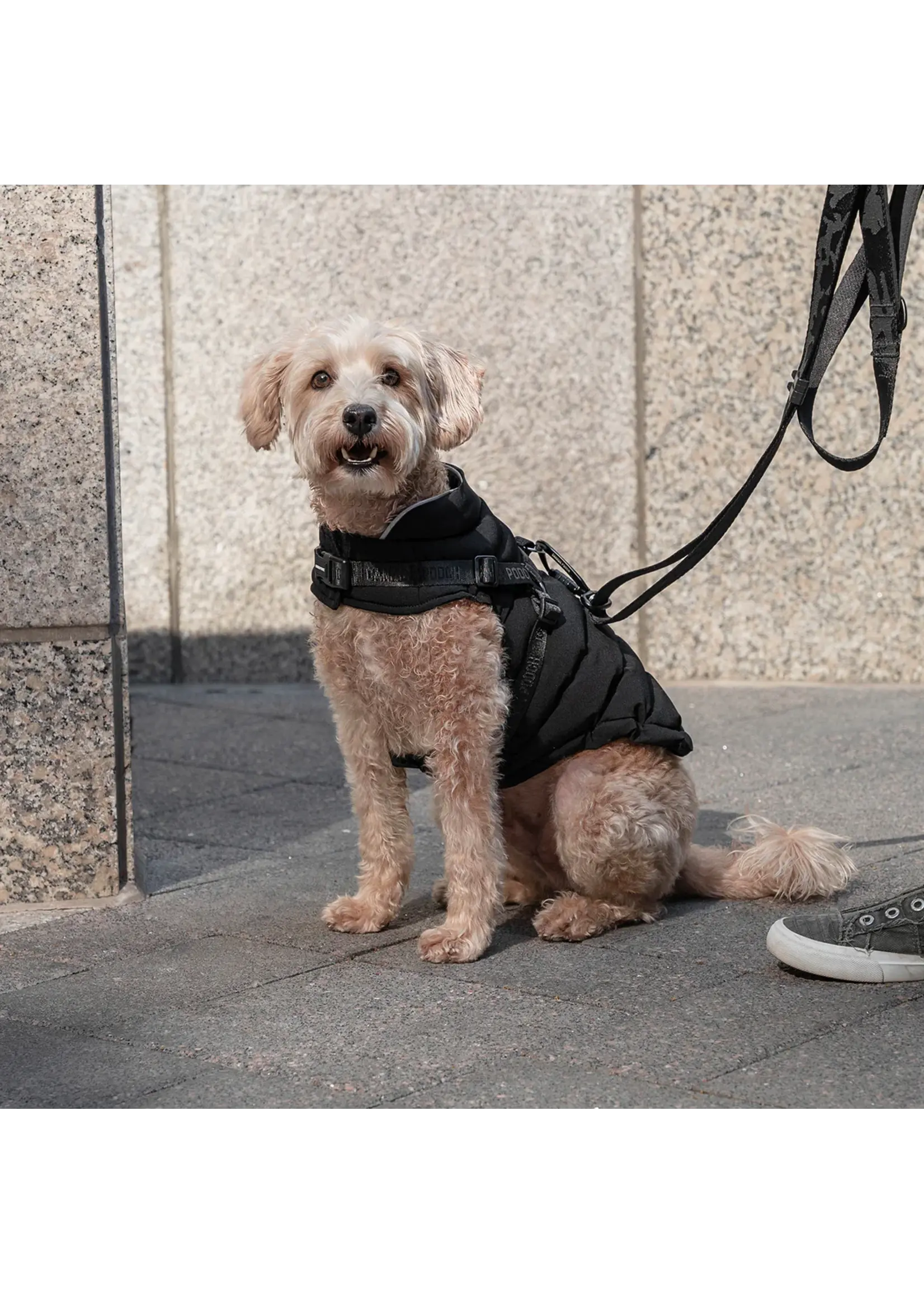 CANADA POOCH MANTEAU AVEC HARNAIS