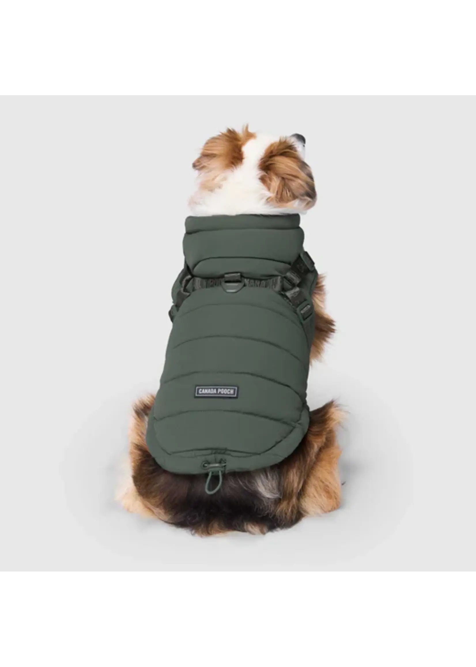 CANADA POOCH MANTEAU AVEC HARNAIS
