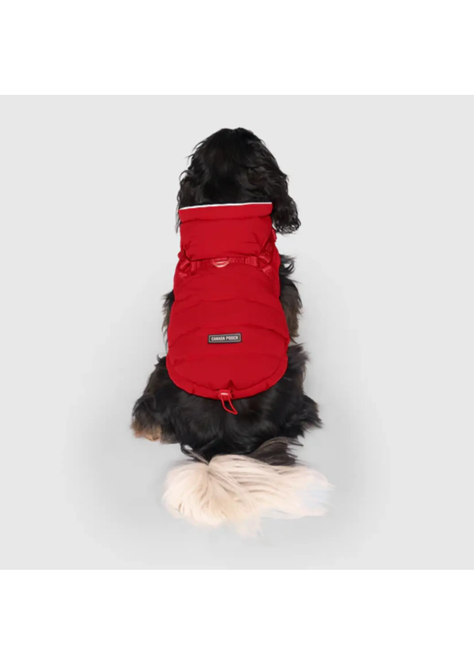 CANADA POOCH MANTEAU AVEC HARNAIS
