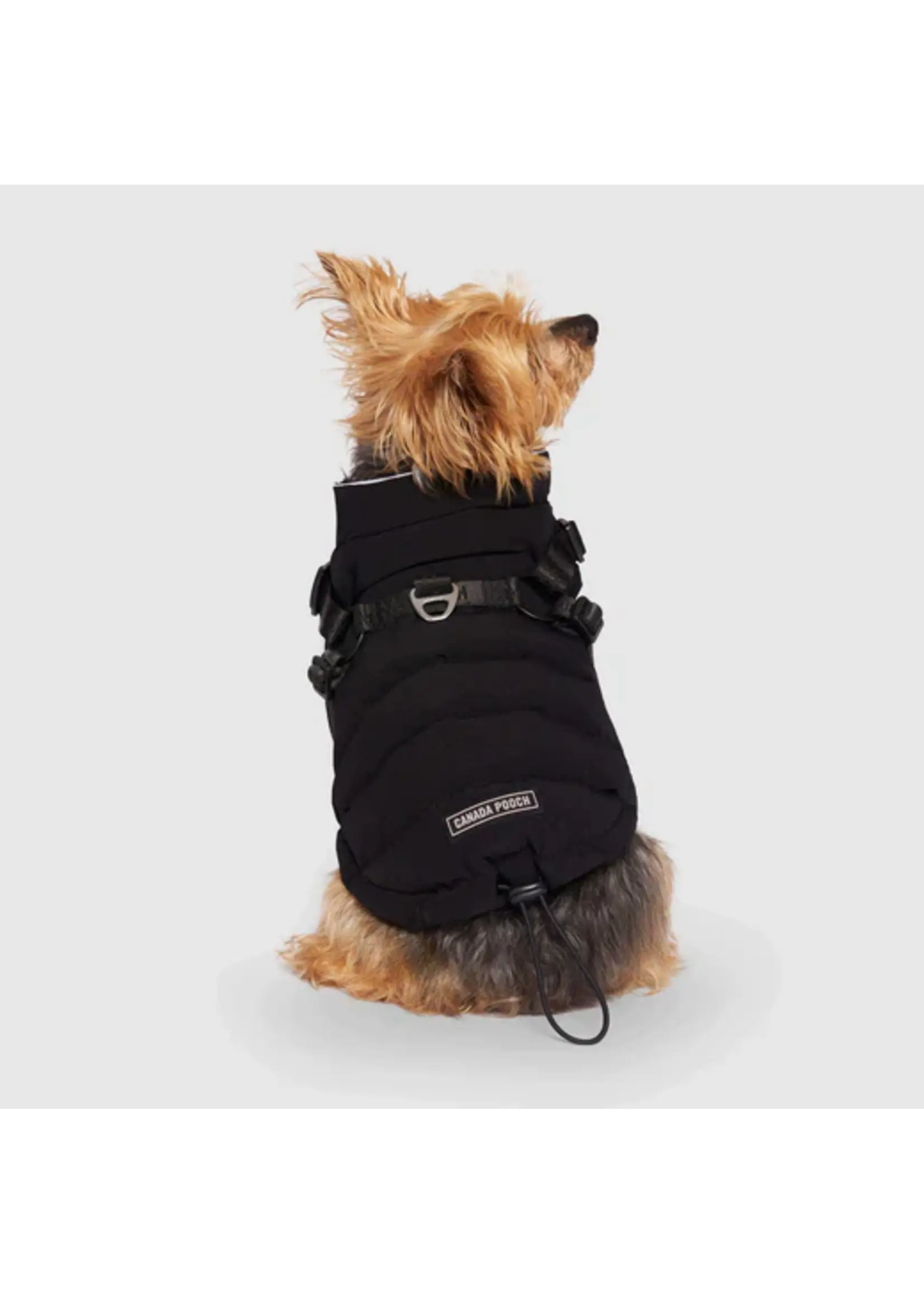 CANADA POOCH MANTEAU AVEC HARNAIS