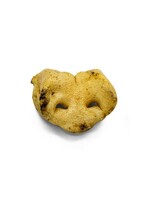 WAWWAW WAWWAW GATERIE POUR CHIEN NEZ DE PORC