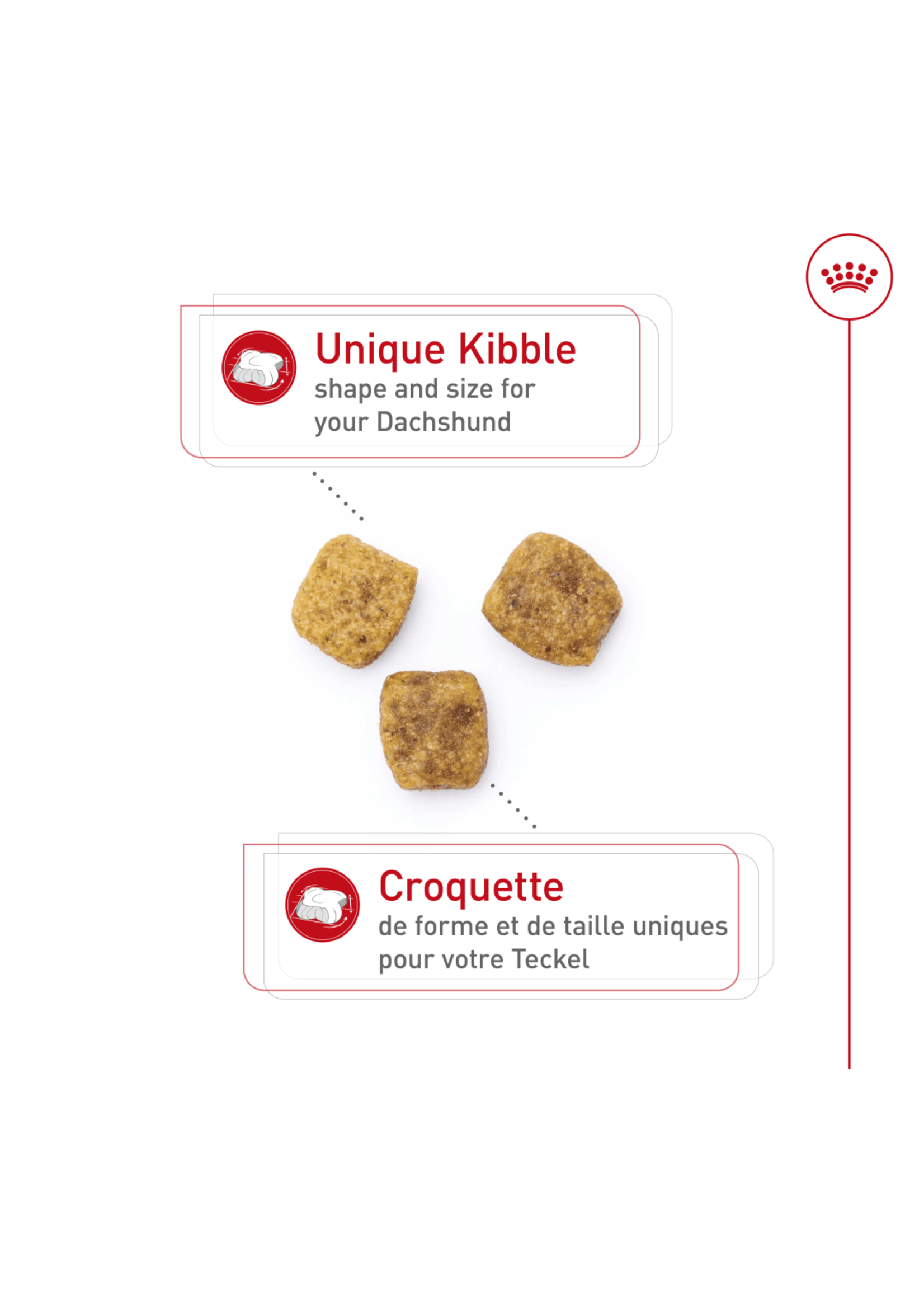 ROYAL CANIN ROYAL CANIN ADULTE TECKEL 4.5 KG