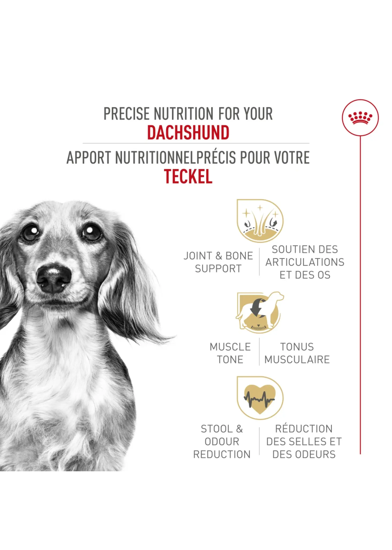 ROYAL CANIN ROYAL CANIN ADULTE TECKEL 4.5 KG