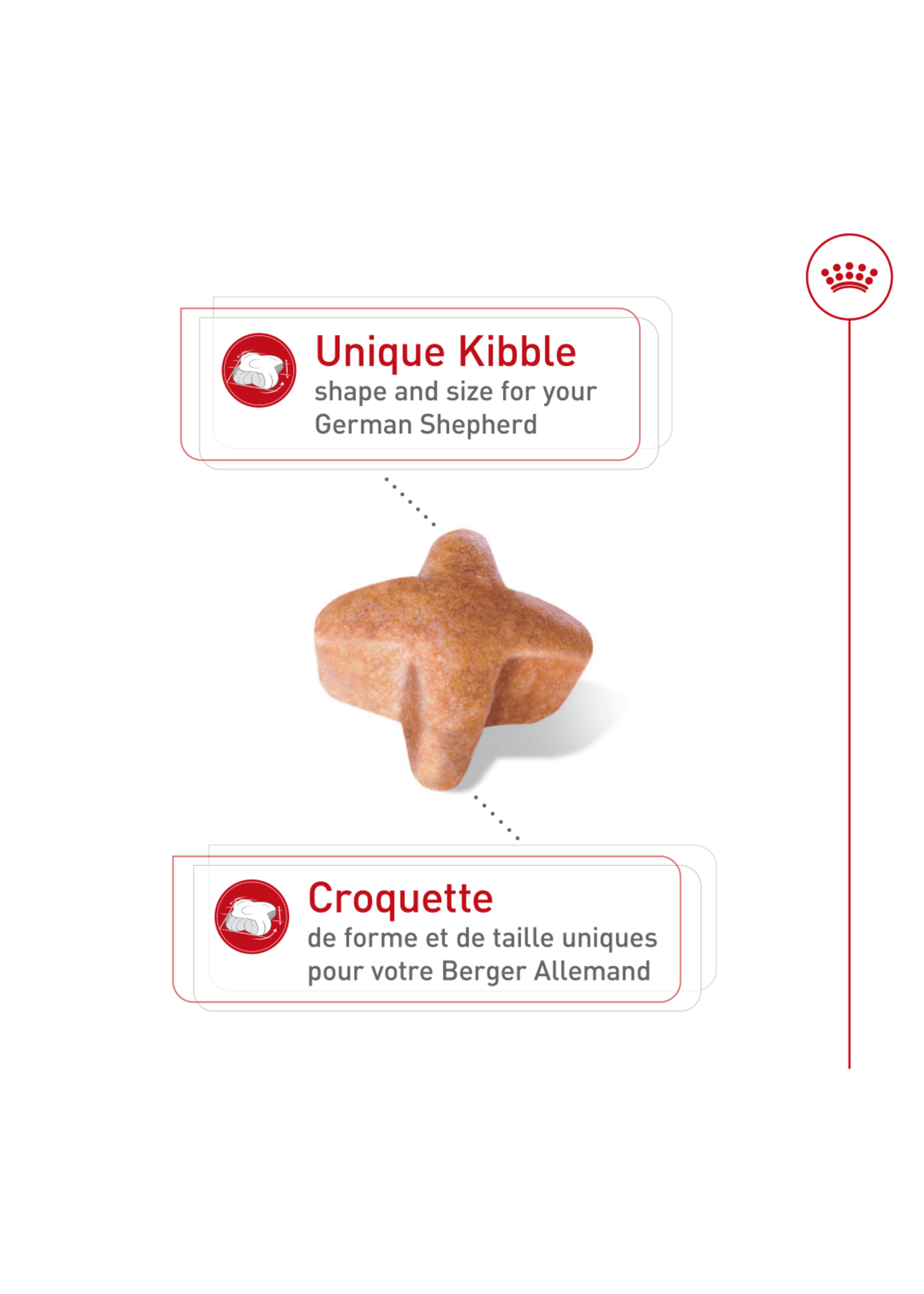 ROYAL CANIN ROYAL CANIN BERGER ALLEMAND ADULTE 13.6 KG