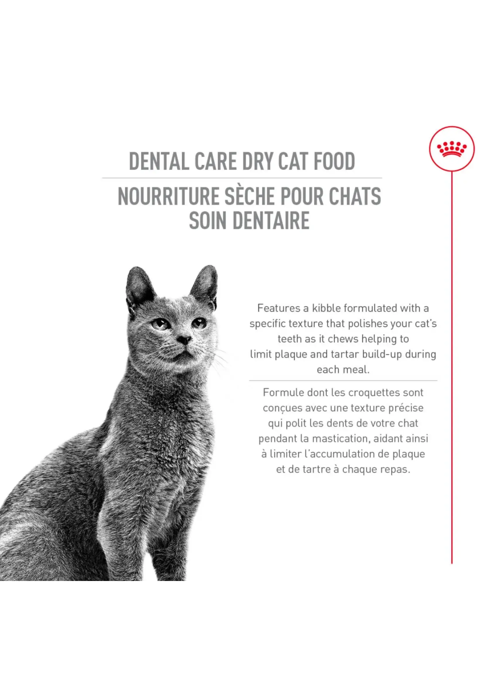 ROYAL CANIN ROYAL CANIN CHAT SOIN DENTAIRE