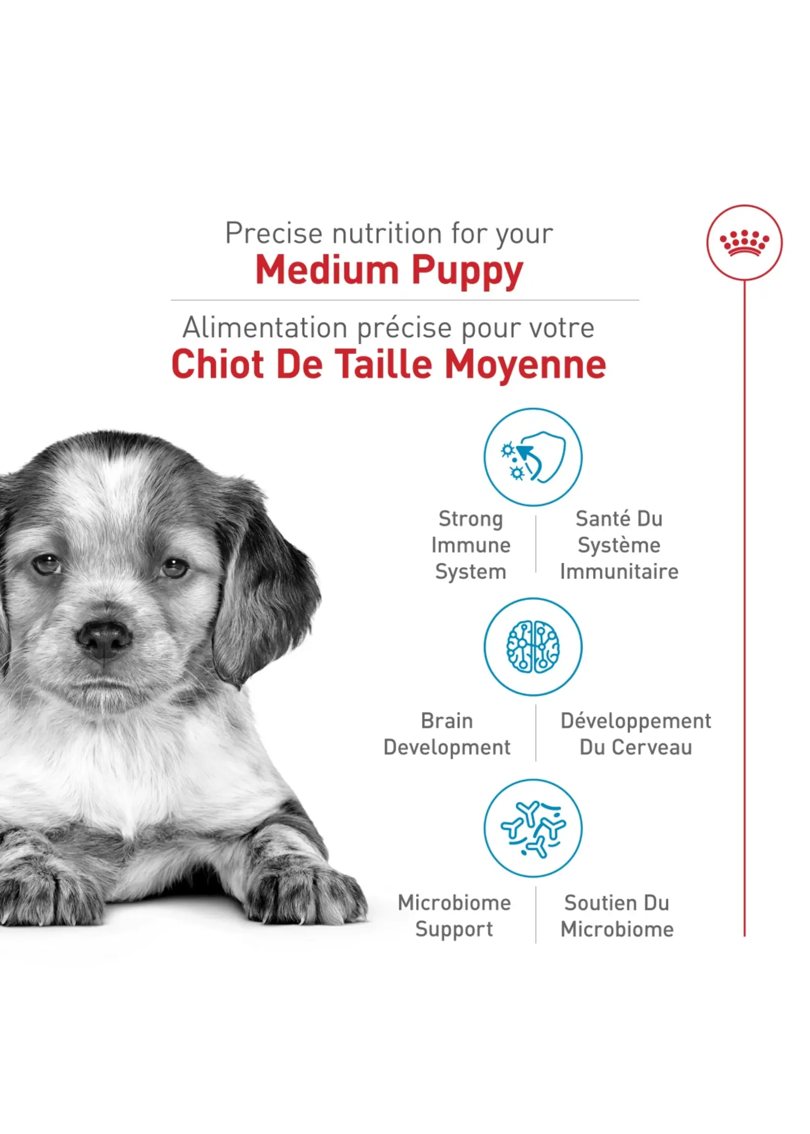 ROYAL CANIN ROYAL CANIN CHIOT MEDIUM 1.82 KG