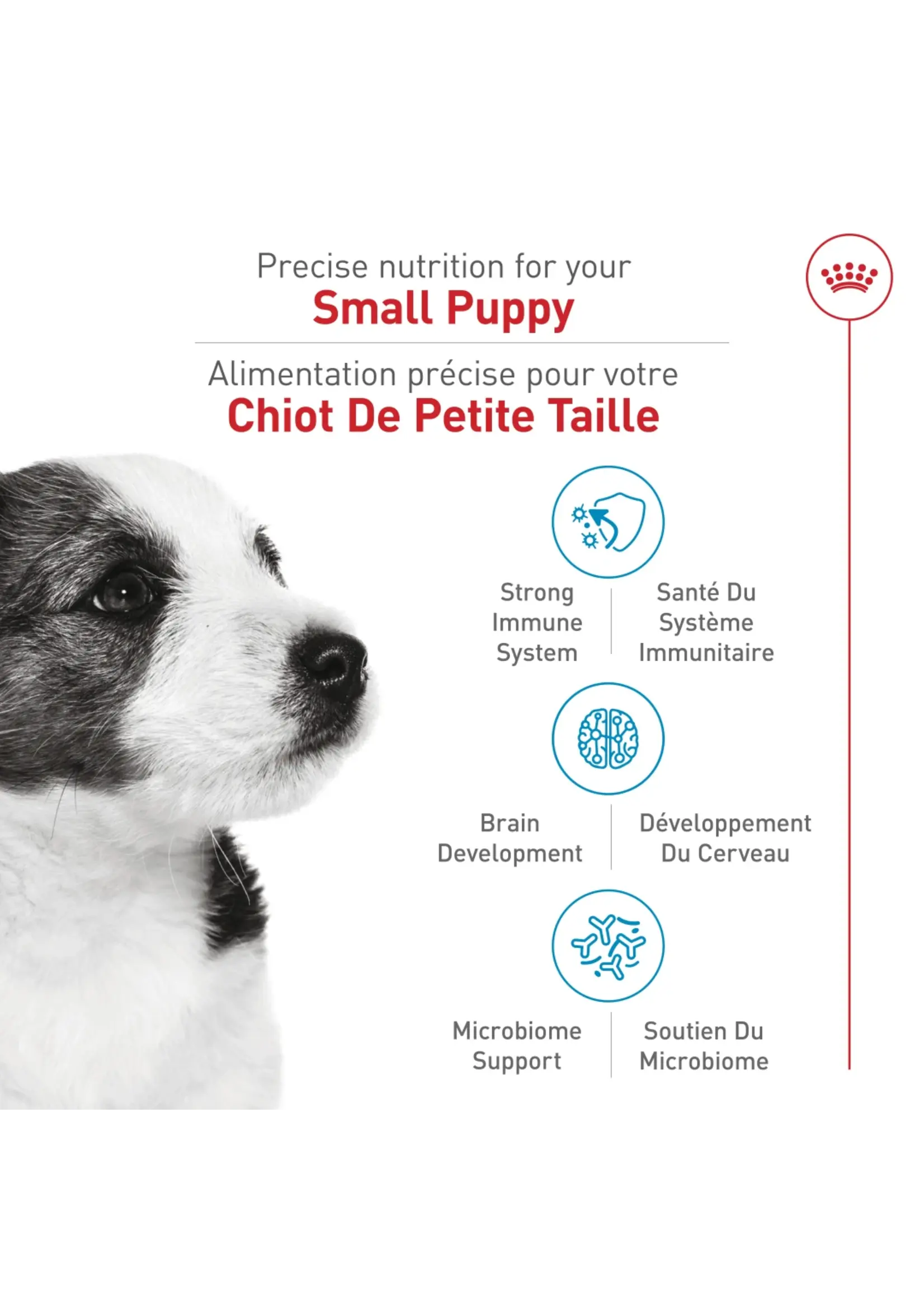 ROYAL CANIN ROYAL CANIN CHIOT SMALL
