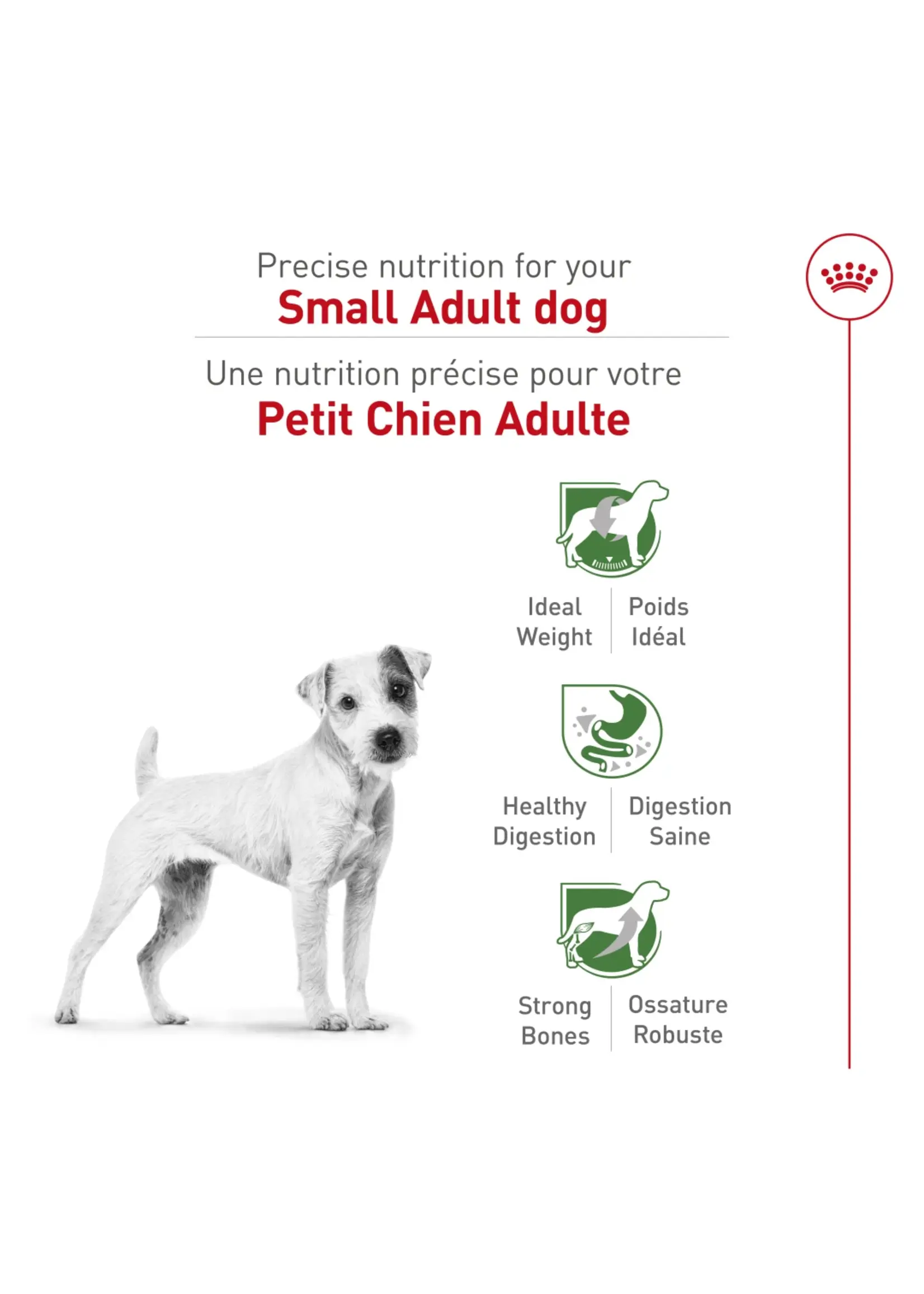 ROYAL CANIN ROYAL CANIN PETIT CHIEN ADULTE