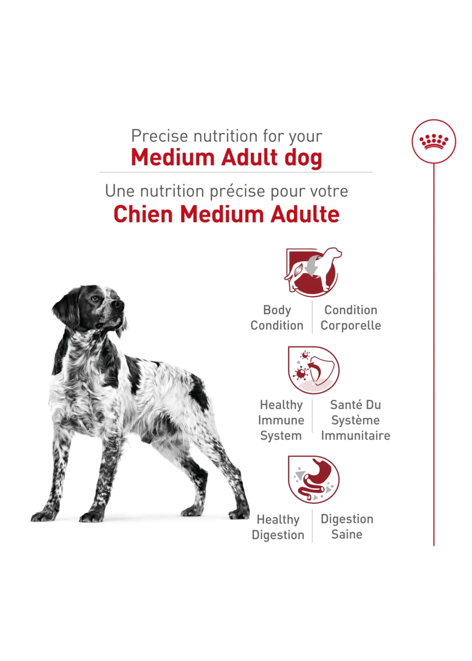 ROYAL CANIN ROYAL CANIN CHIEN ADULTE MEDIUM