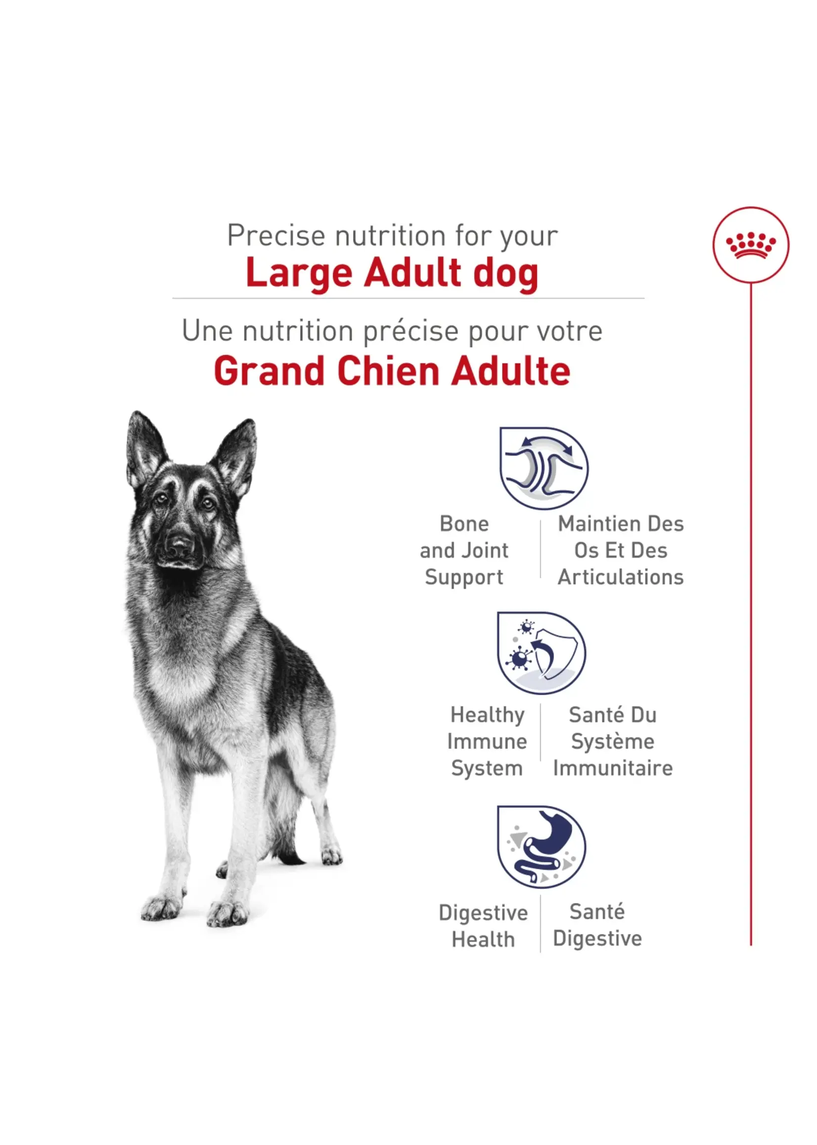 ROYAL CANIN ROYAL CANIN CHIEN ADULTE LARGE