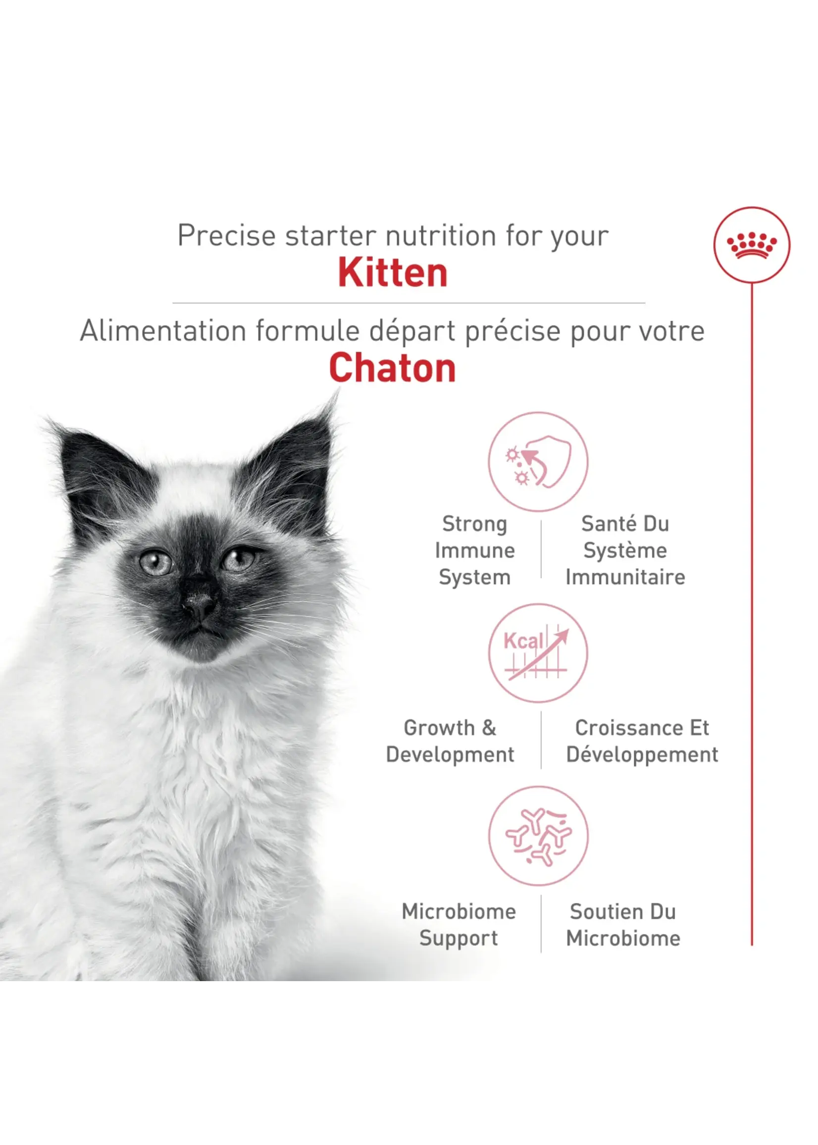 ROYAL CANIN ROYAL CANIN CHATON