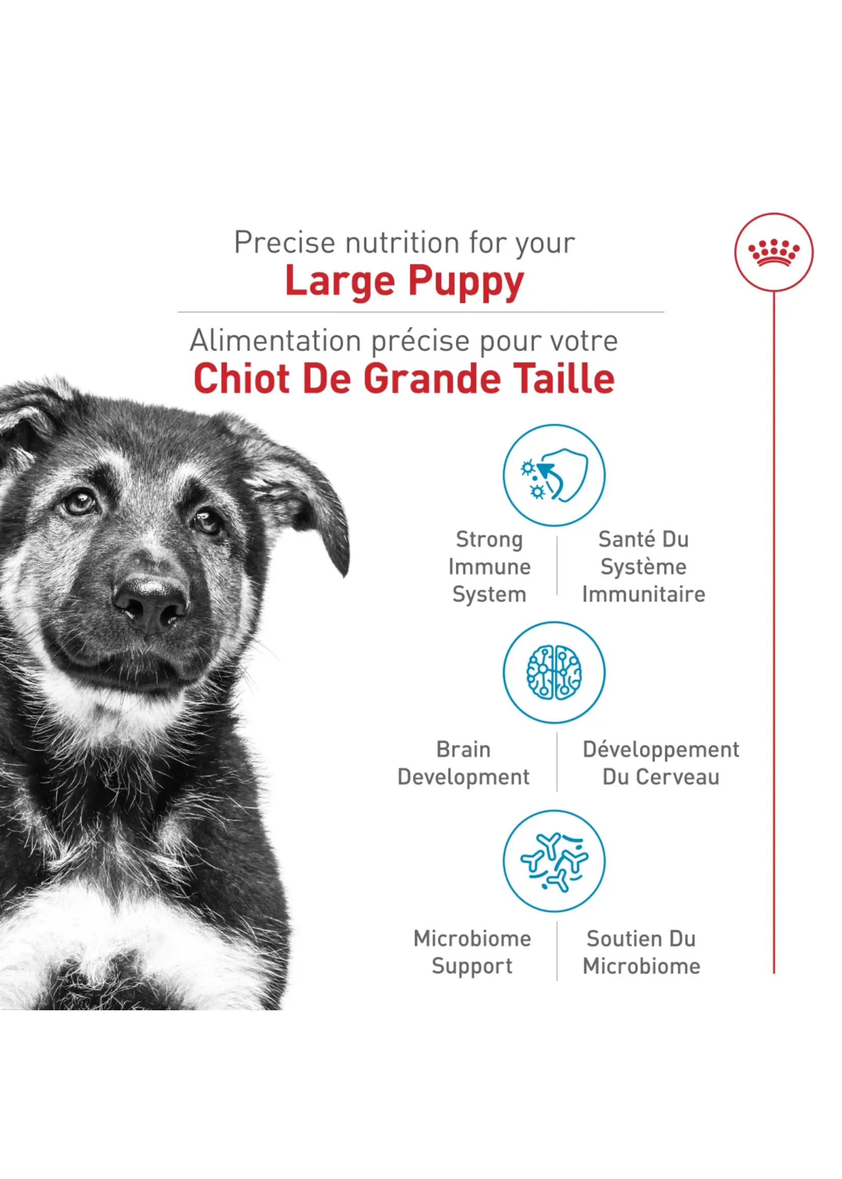 ROYAL CANIN ROYAL CANIN CHIOT LARGE 13.6 KG