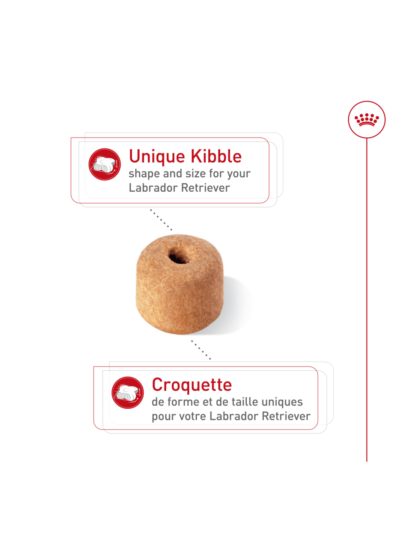 ROYAL CANIN ROYAL CANIN LABRADOR RETRIEVER ADULTE 13.6 KG