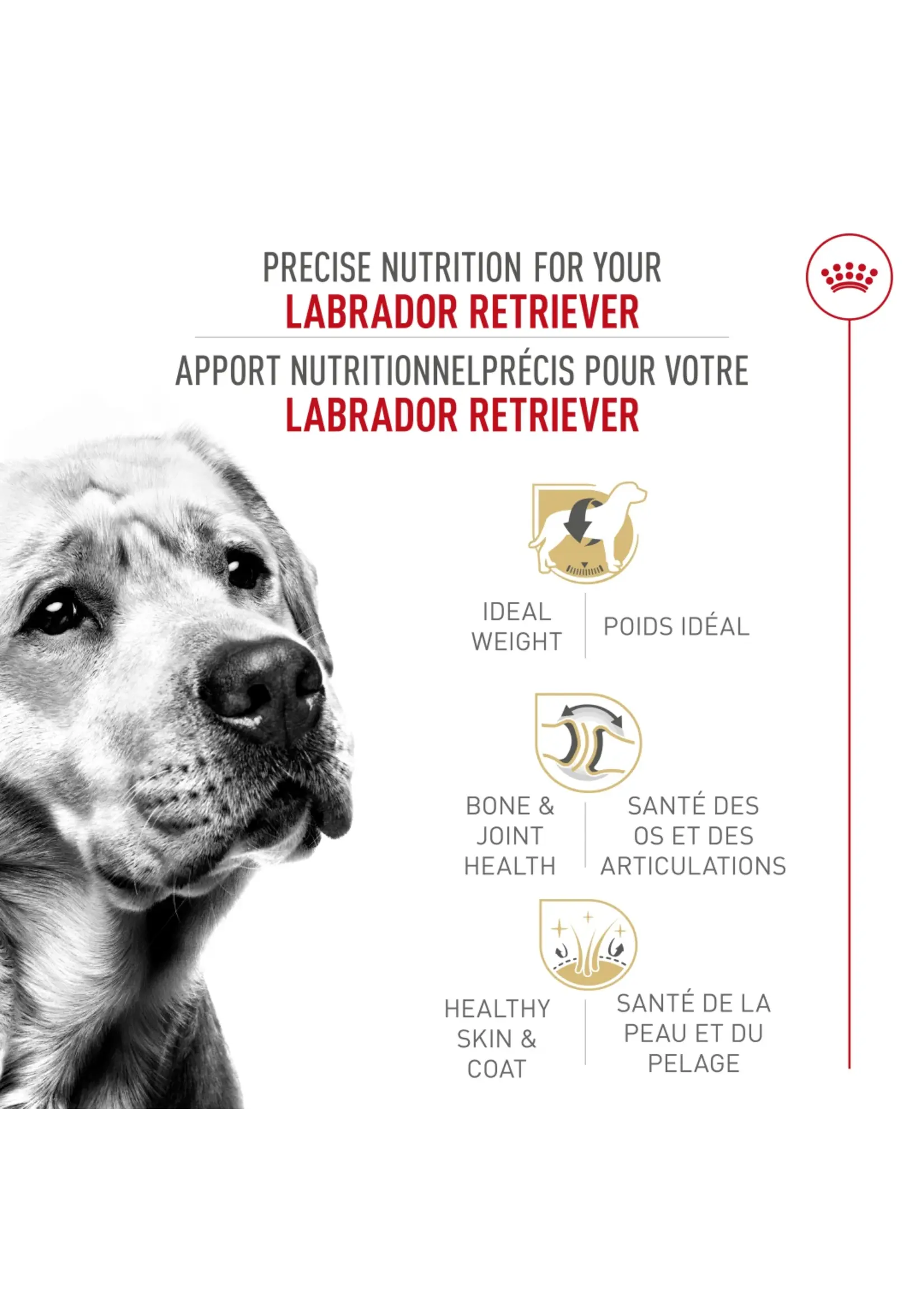 ROYAL CANIN ROYAL CANIN LABRADOR RETRIEVER ADULTE 13.6 KG