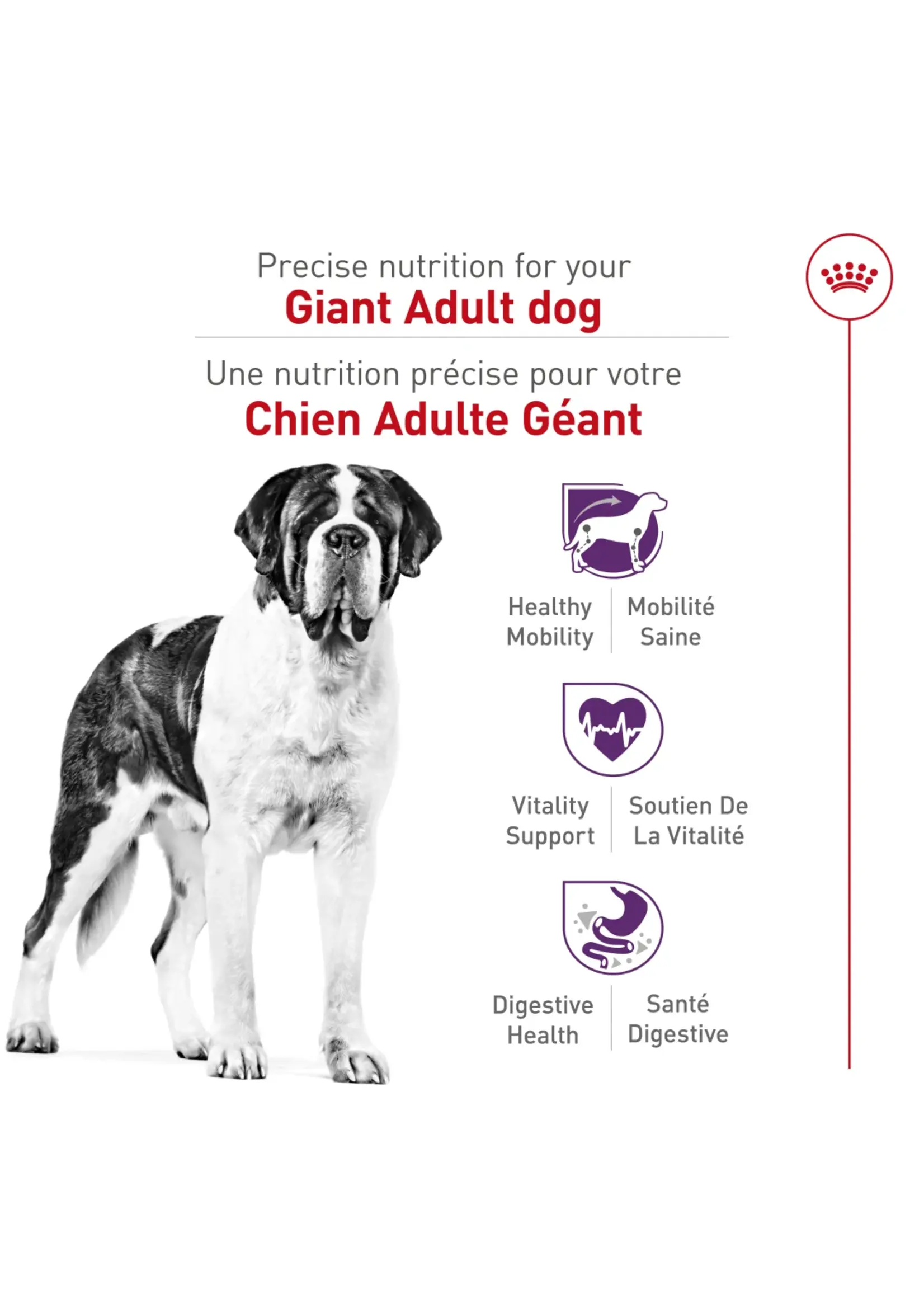 ROYAL CANIN ROYAL CANIN CHIEN GEANT ADULTE 13.6 KG