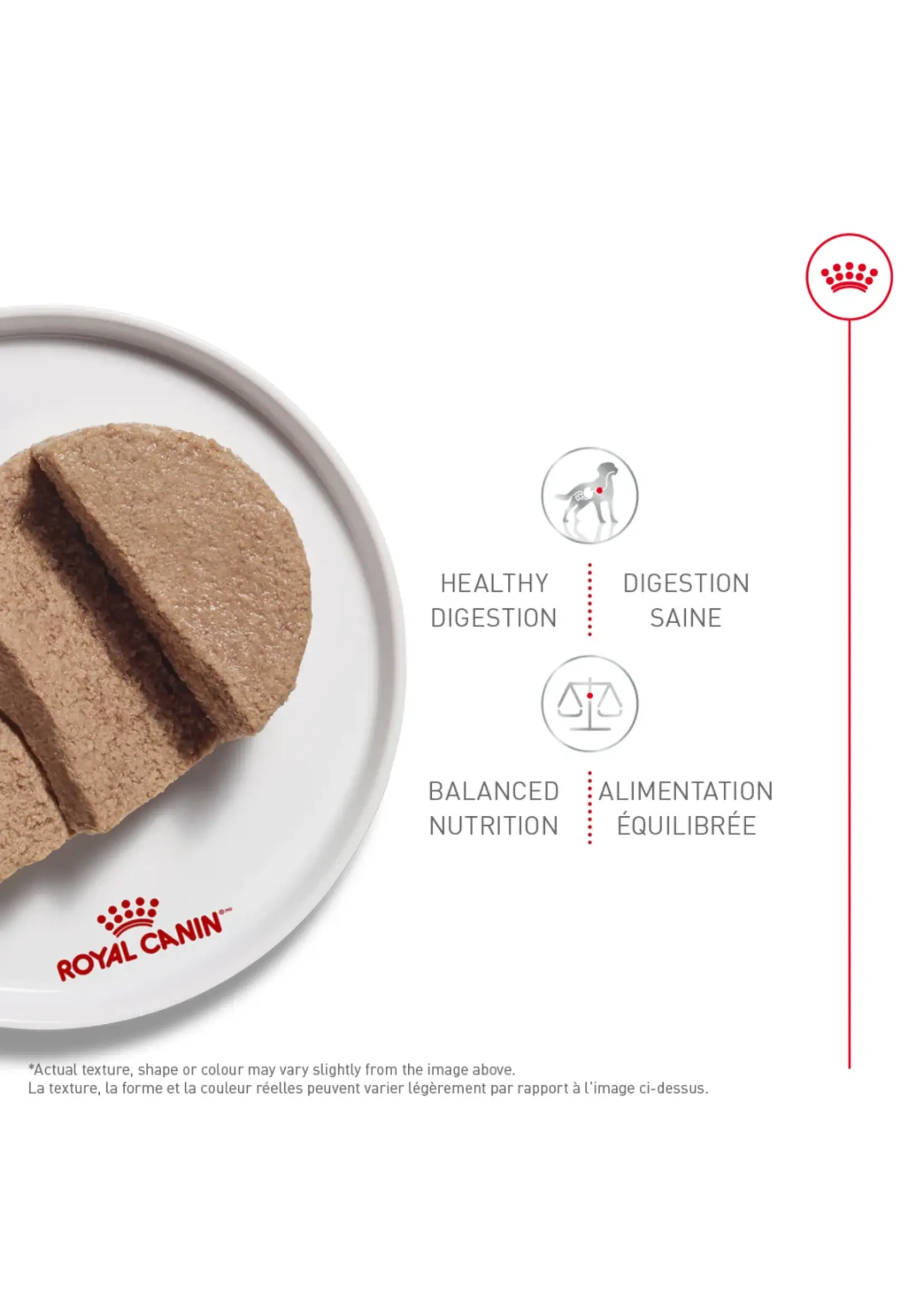 ROYAL CANIN ROYAL CANIN CHIEN SOIN DIGESTIF NOURRITURE HUMIDE EN PATÉ 385 G