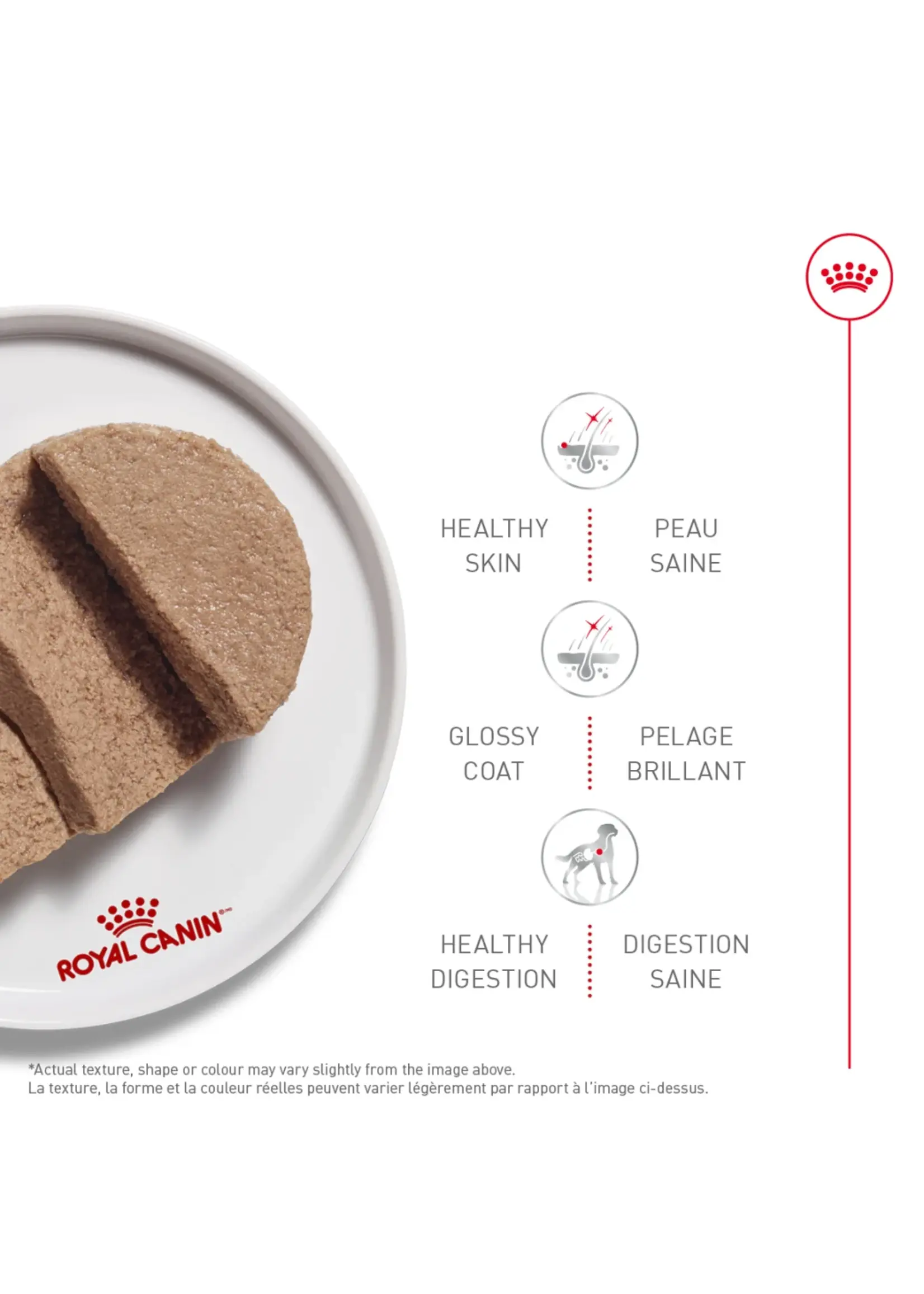 ROYAL CANIN ROYAL CANIN CHIEN ADULTE NOURRITURE HUMIDE EN PATÉ 385 G