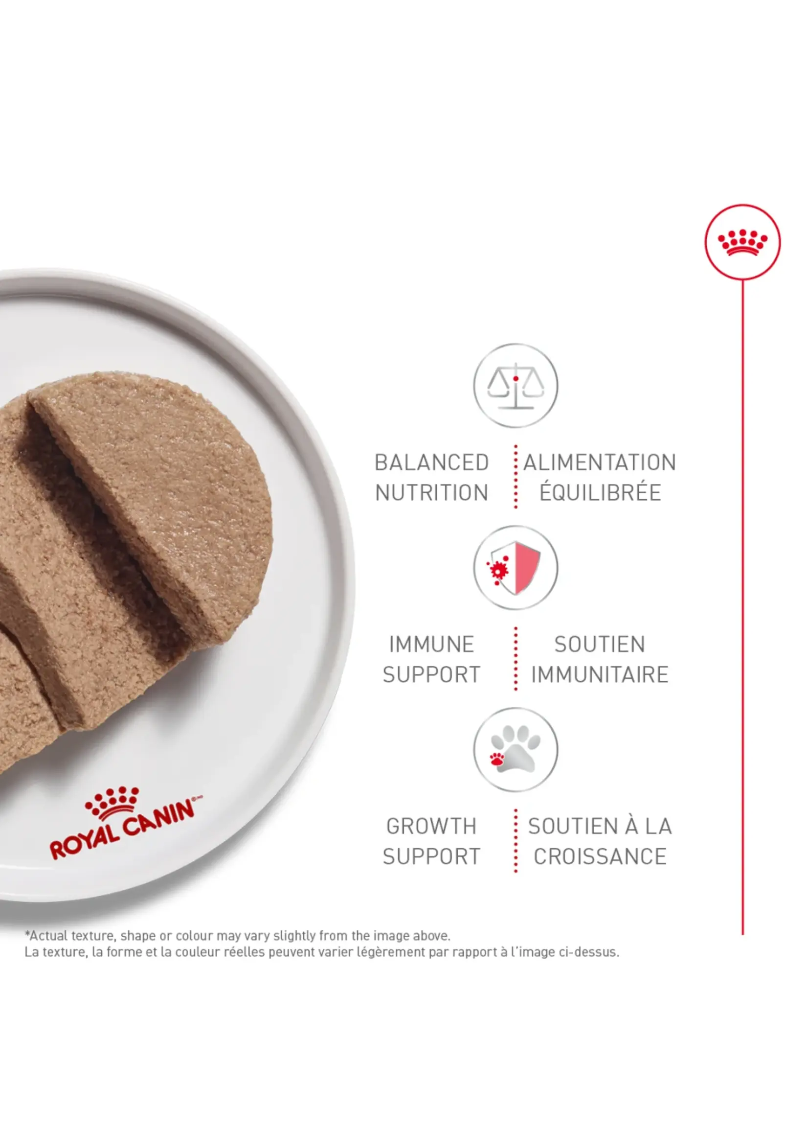 ROYAL CANIN ROYAL CANIN CHATON NOURRITURE HUMIDE EN PATÉ 145 G