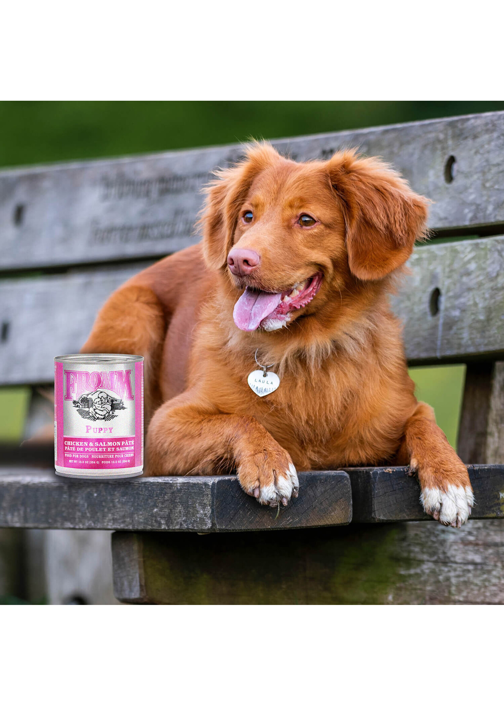 FROMM FROMM CLASSIC NOURRITURE HUMIDE POUR CHIOT  POULET & SAUMON 12.5 OZ