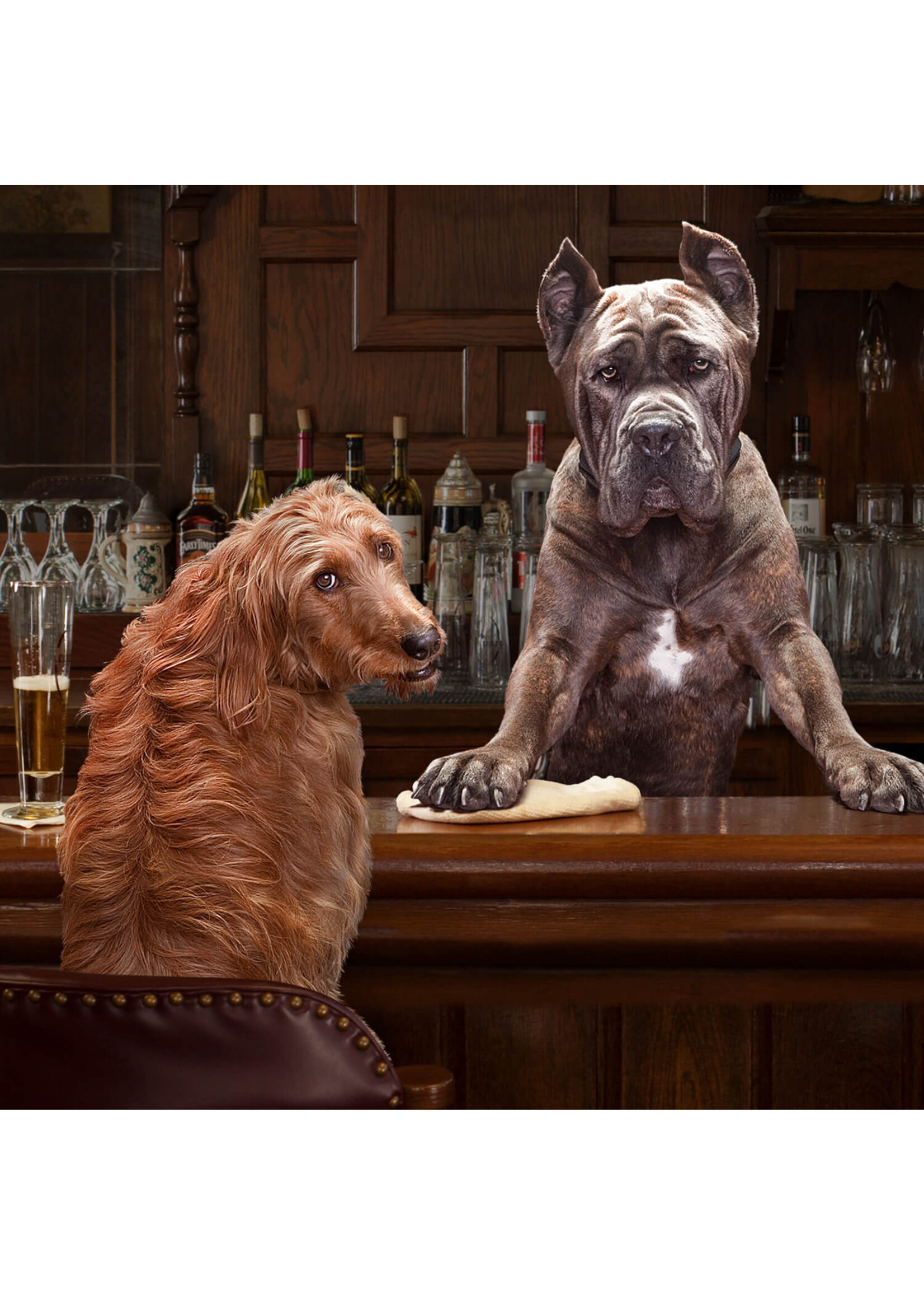 FROMM FROMM CHIEN GOLD