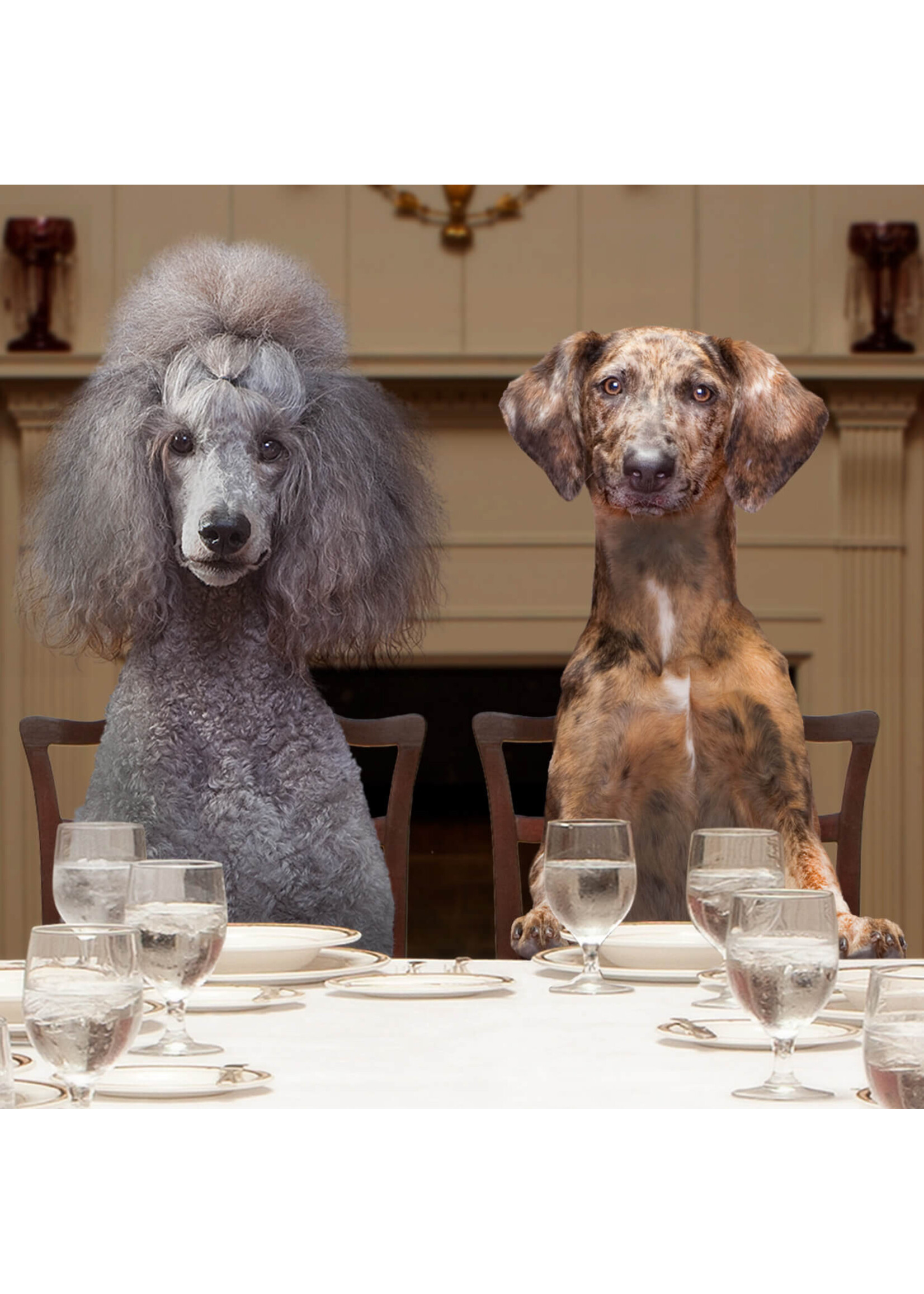 FROMM FROMM CHIEN GOLD GESTION DU POIDS