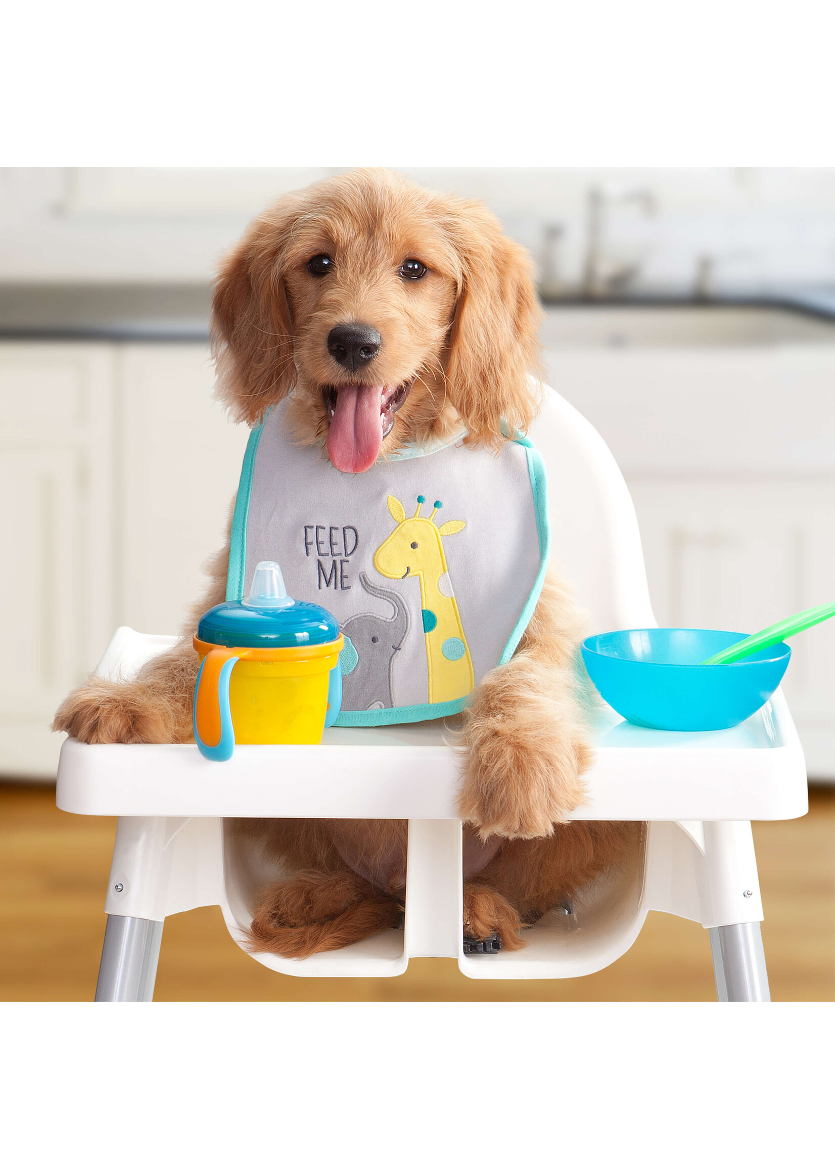 FROMM FROMM CHIOT GRANDE RACE GOLD 13.6 KG