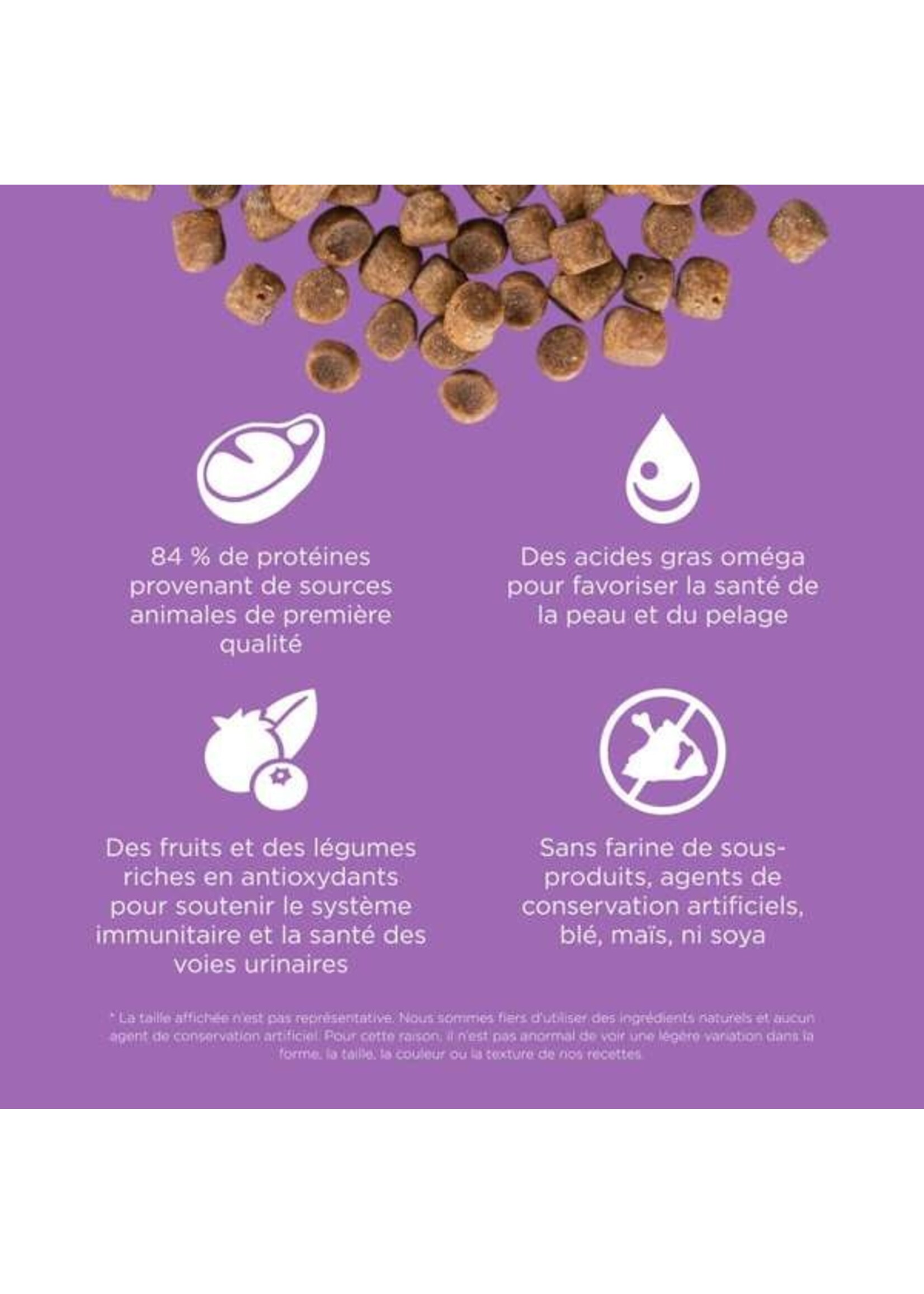 GO! SOLUTIONS GO! SOLUTION CARNIVORE CHAT POULET-CANARD-DINDE SANS GRAINS