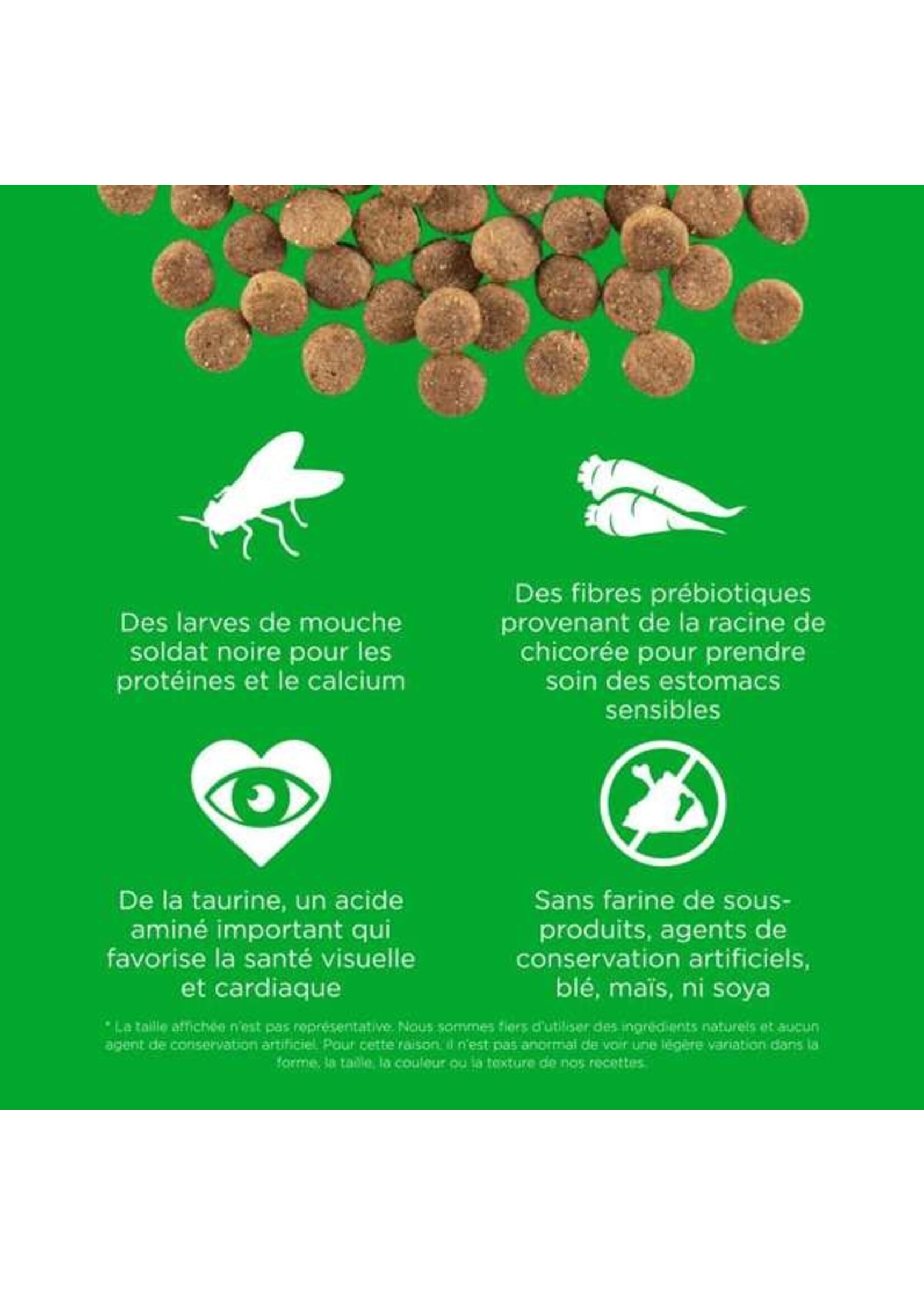 GO! SOLUTIONS GO! SOLUTION CHIEN SENSITIVE AU INSECTE SANS GRAINS