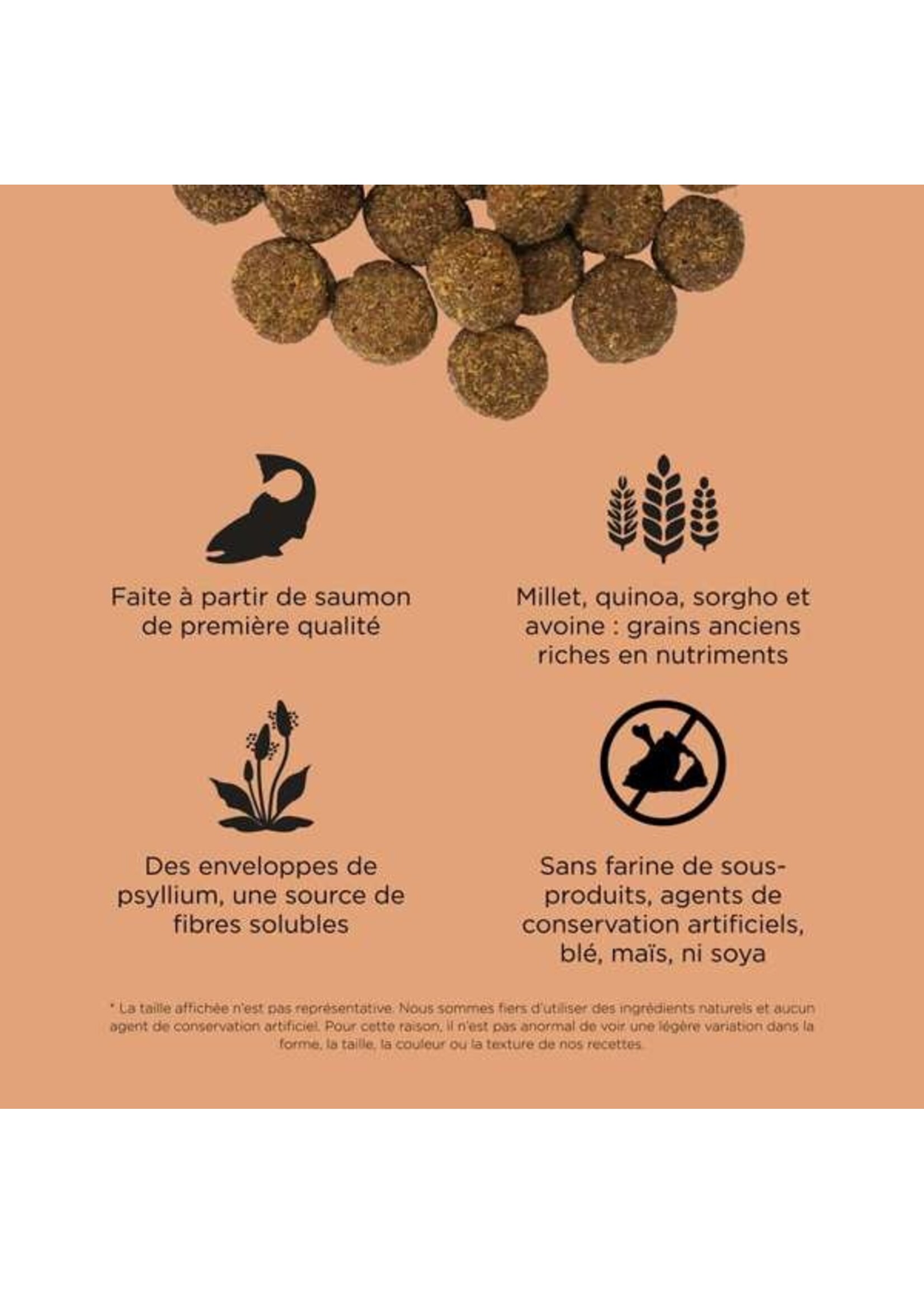 GO! SOLUTIONS GO! SOLUTION CHIEN DIGESTION ET SANTÉ INTESTINALE GRAINS ANCIENS AU SAUMON