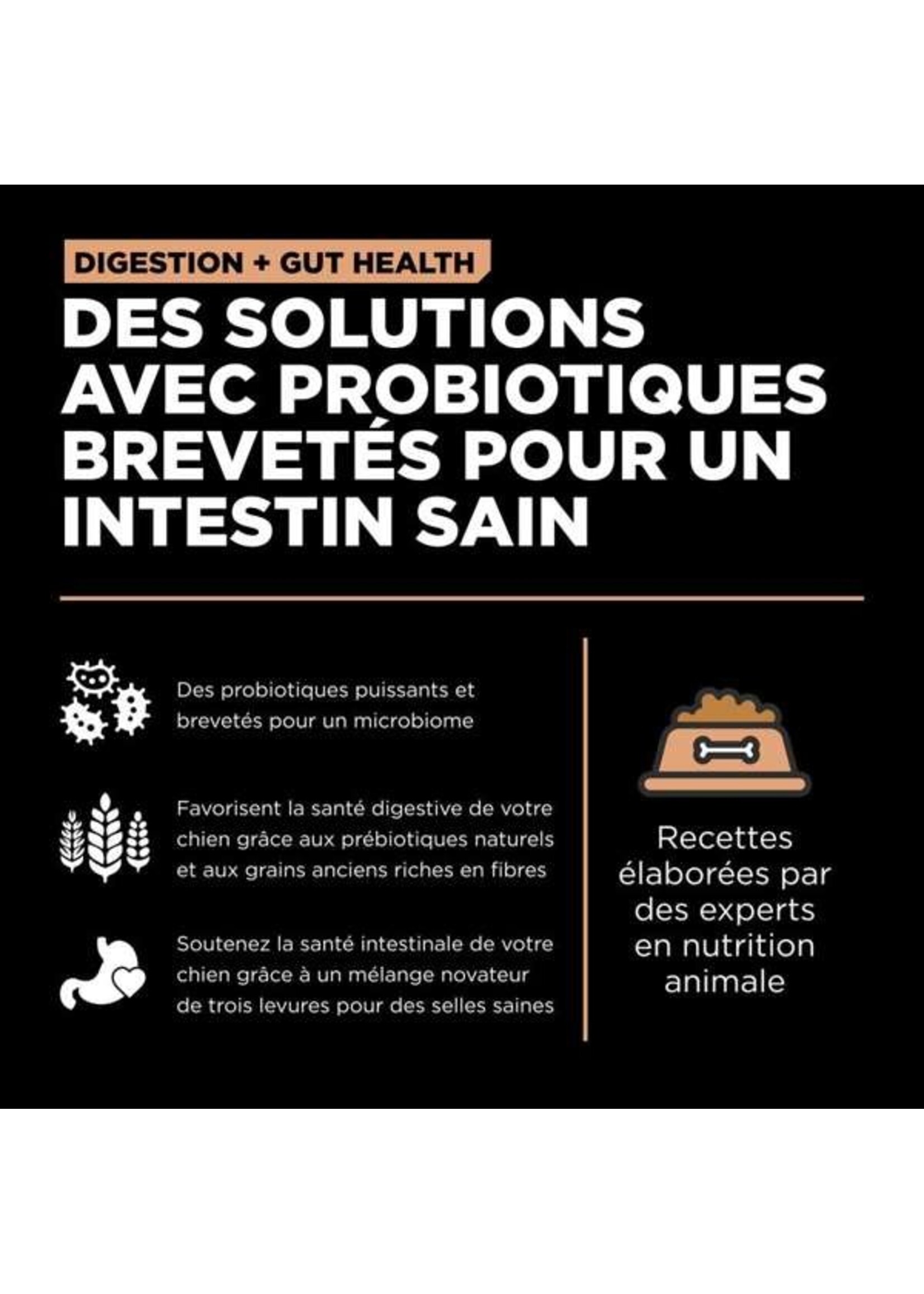 GO! SOLUTIONS GO! SOLUTION CHIEN DIGESTION ET SANTÉ INTESTINALE GRAINS ANCIENS AU SAUMON