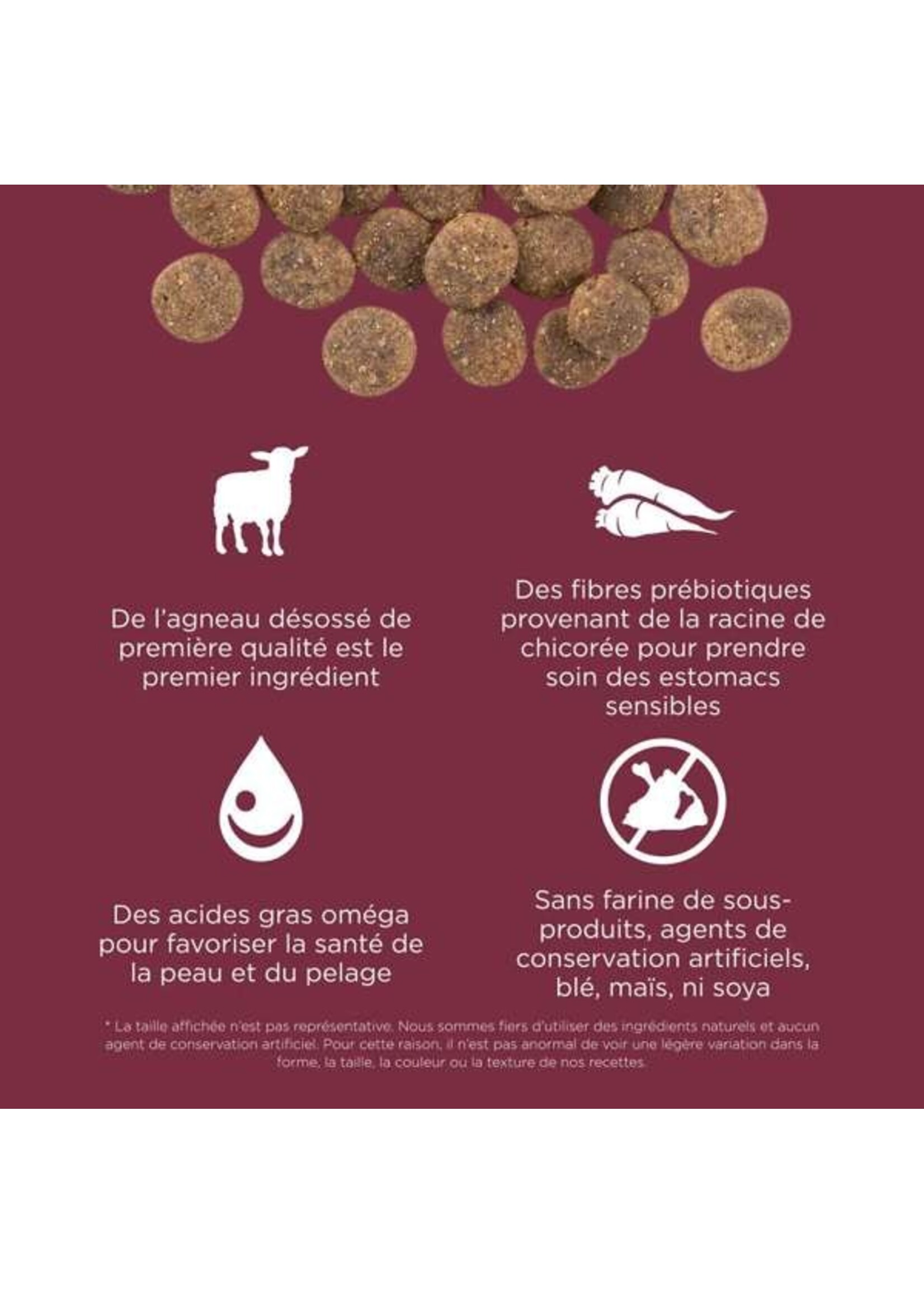 GO! SOLUTIONS GO! SOLUTION SENSITIVE CHIEN A L'AGNEAU SANS GRAINS