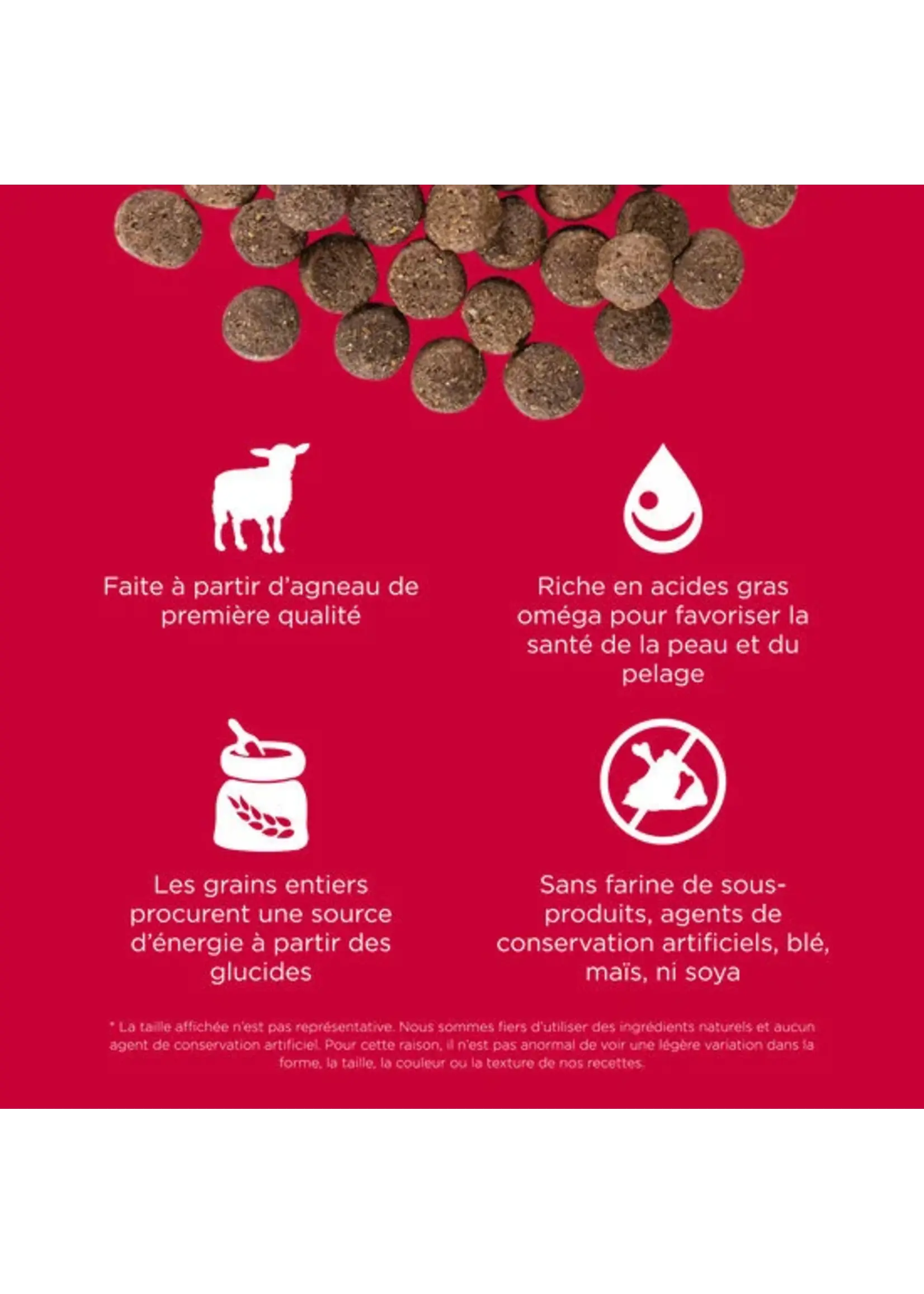 GO! SOLUTIONS GO! SOLUTION CHIEN PEAU ET PELAGE AU SAUMON