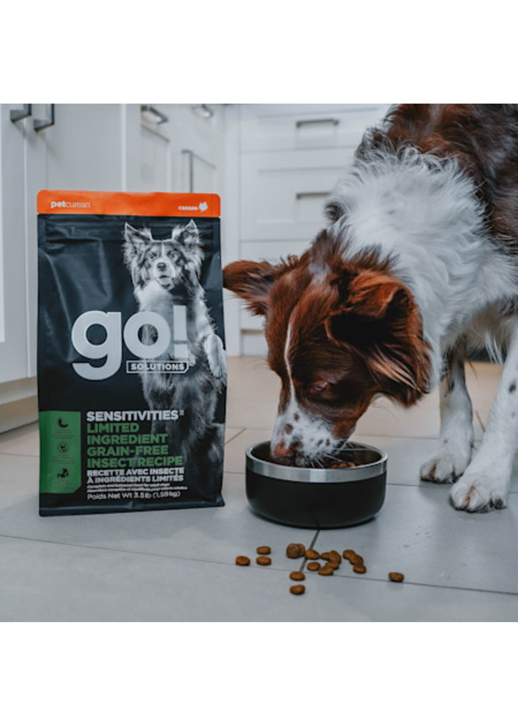 GO! SOLUTIONS GO! SOLUTION CHIEN SENSITIVE AU INSECTE SANS GRAINS