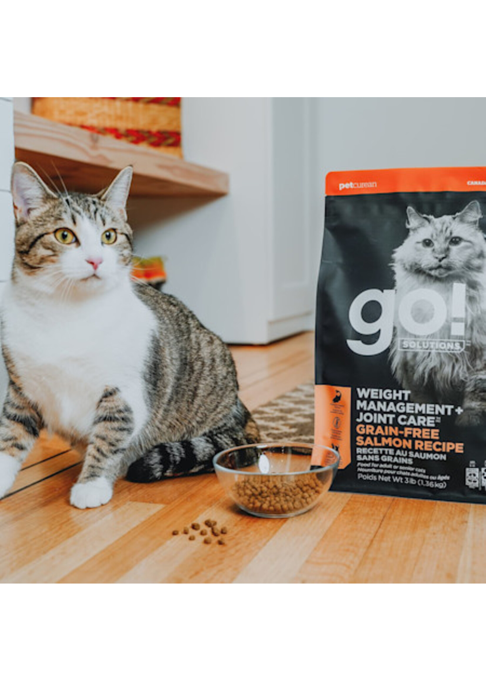 GO! SOLUTIONS GO! SOLUTION CHAT CONTROLE POIDS ET ARTICULATIONS SANS GRAINS SAUMON