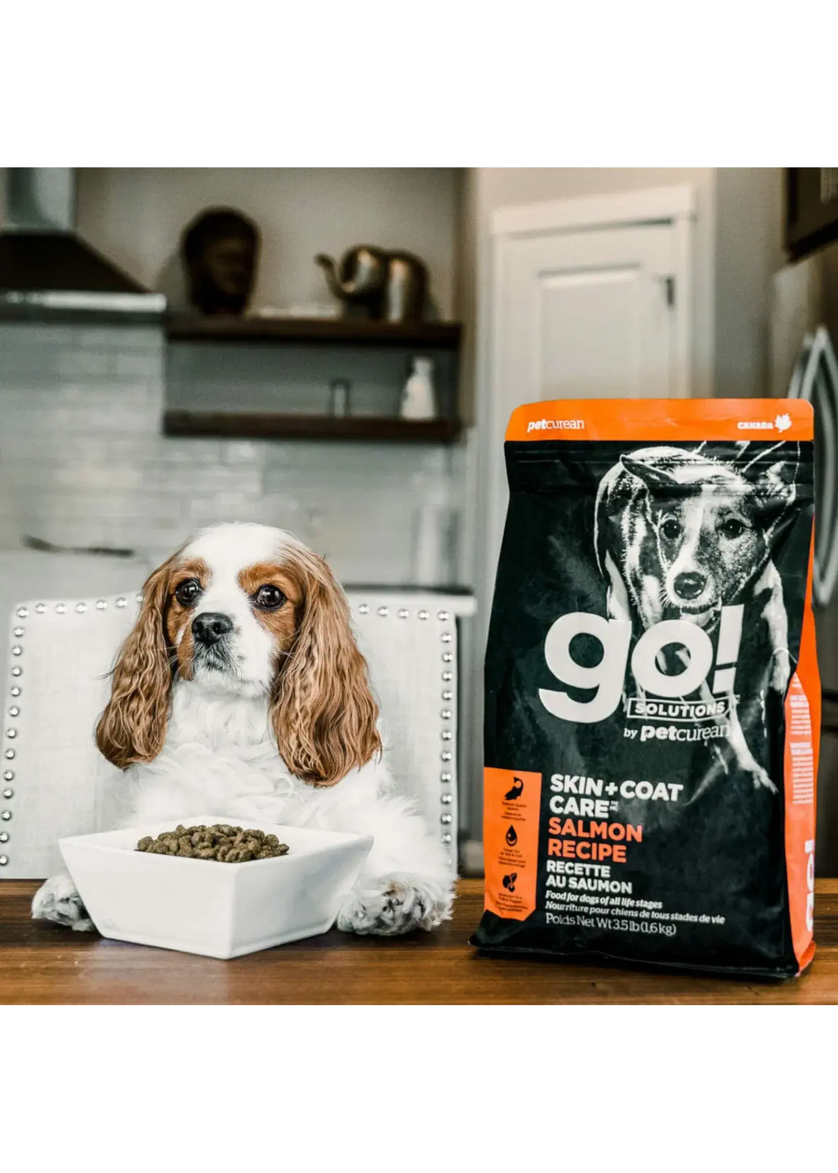 GO! SOLUTIONS GO! SOLUTION CHIEN PEAU ET PELAGE AU SAUMON