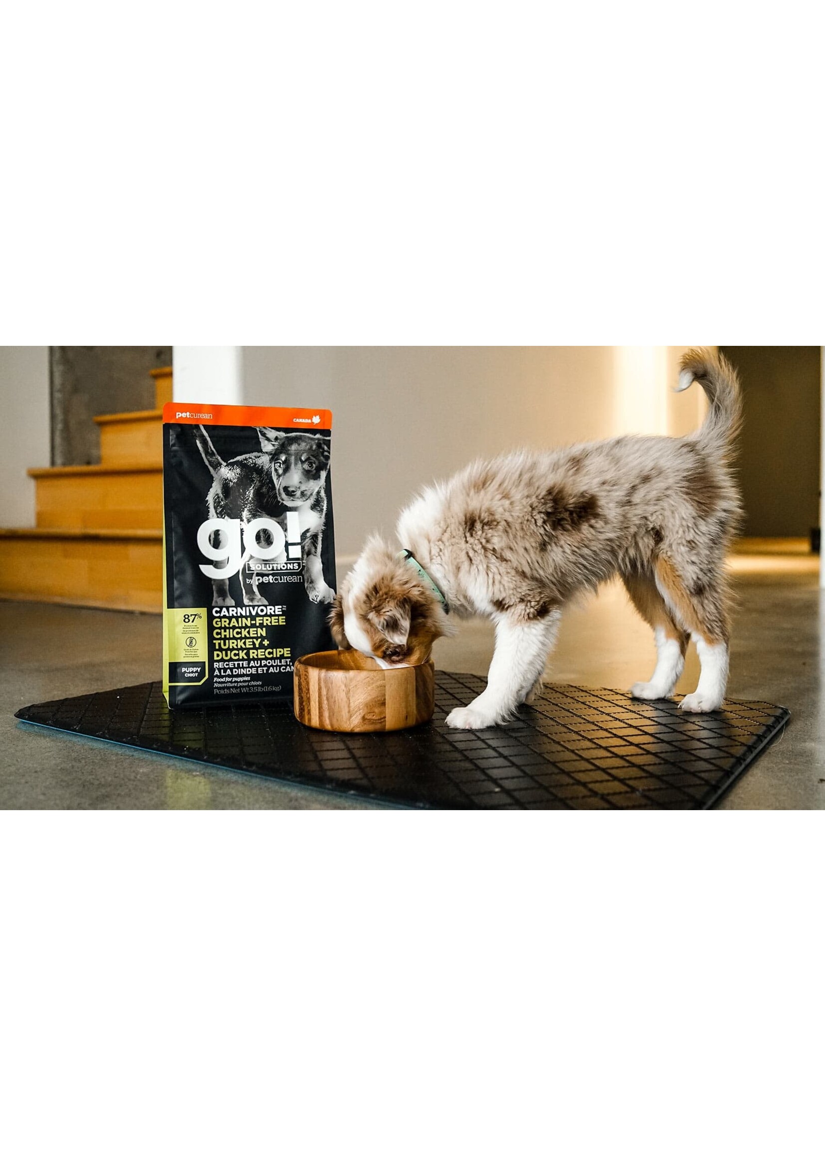 GO! SOLUTIONS GO! SOLUTION CARNIVORE CHIOT POULET/DINDE/CANARD SANS GRAINS