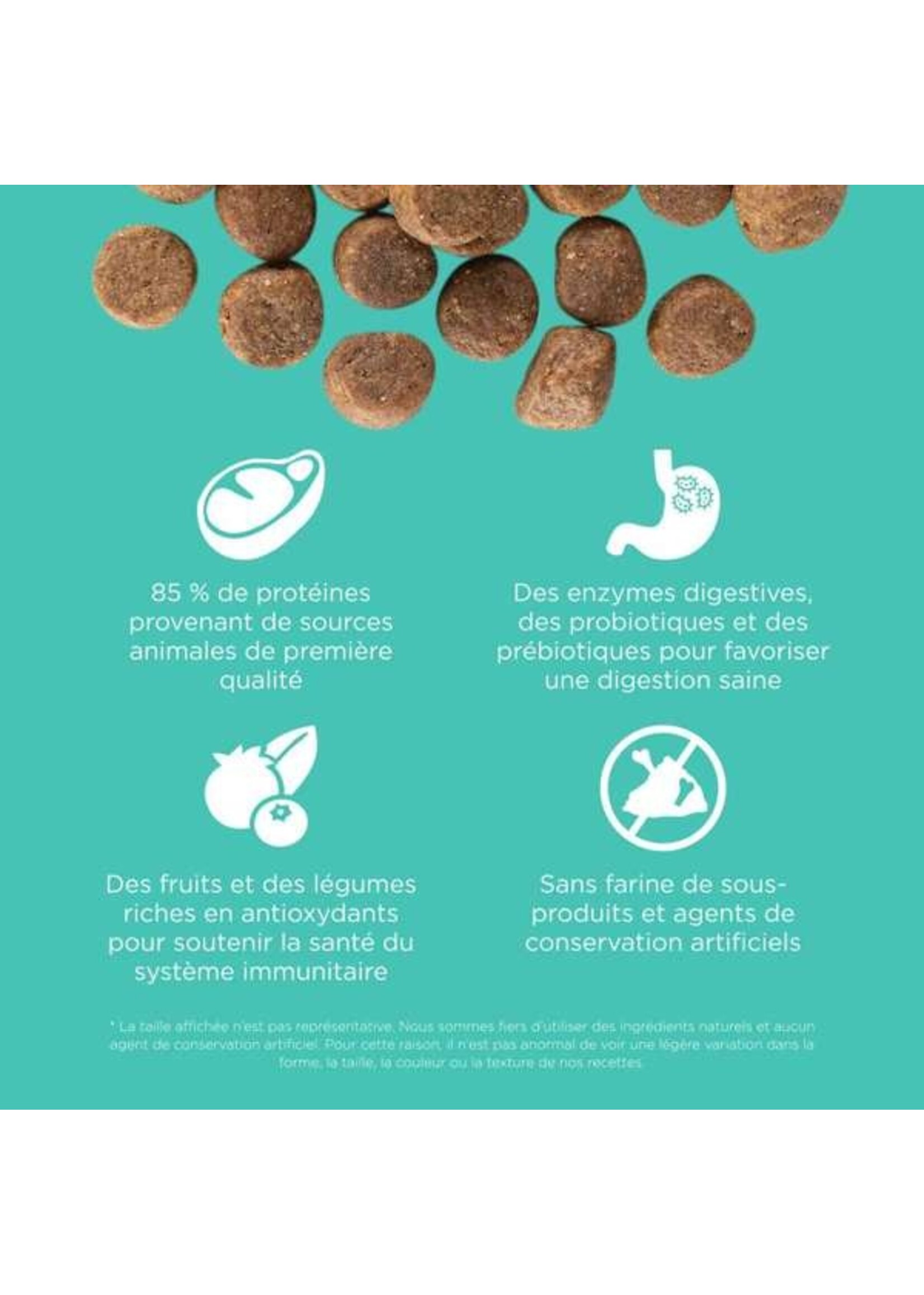 GO! SOLUTIONS GO! SOLUTION CARNIVORE CHIEN ADULTE POULET/DINDE/CANARD SANS GRAINS