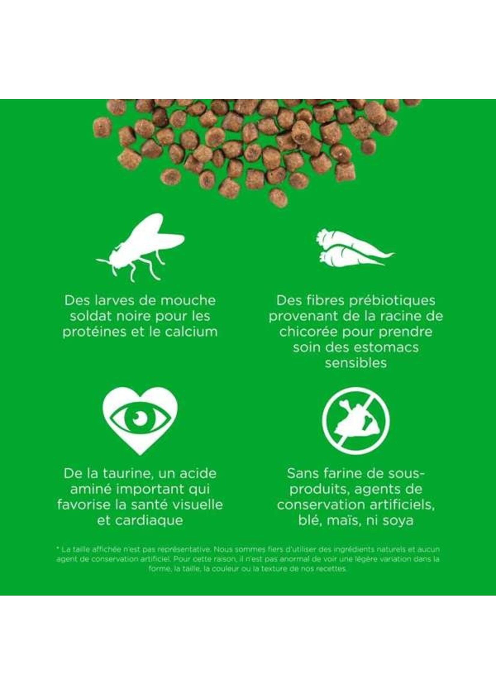 GO! SOLUTIONS GO! SOLUTION SENSITIVE CHAT AU INSECTE SANS GRAINS
